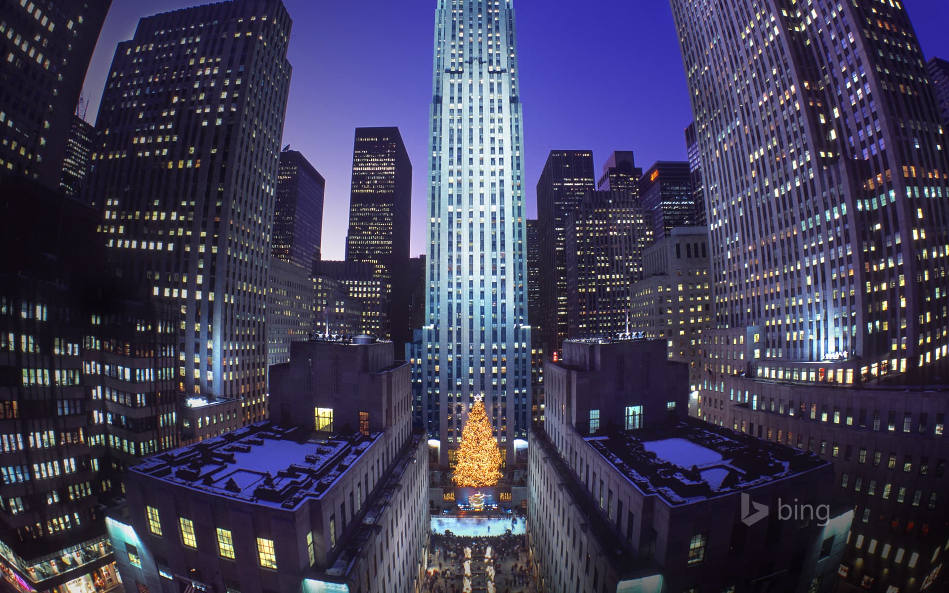 Bing Wallpaper: Christmas tree at Rockefeller Center, New York City, New York