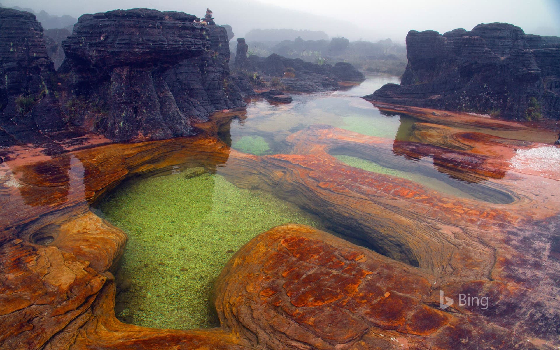 Bing Wallpaper: Hot springs on Mount Roraima, Venezuela