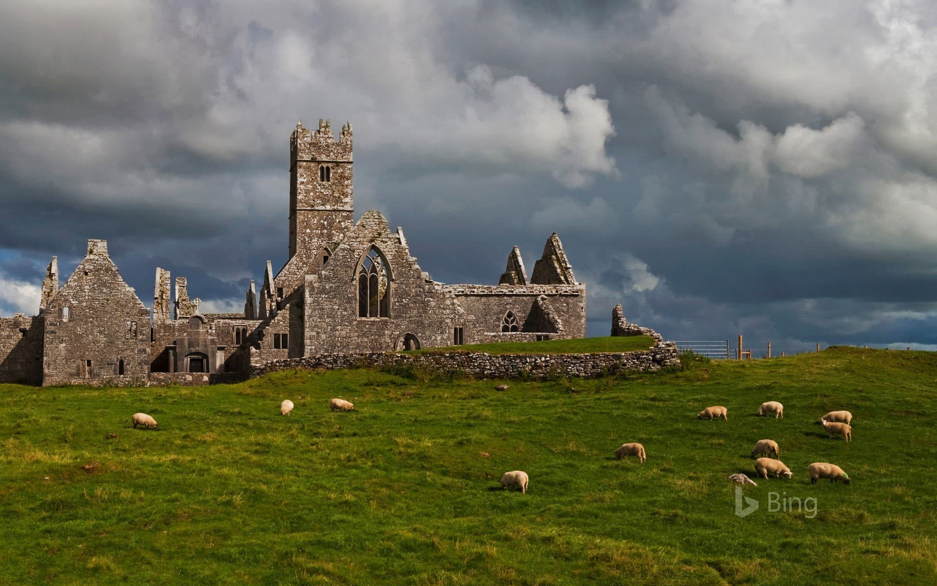 Bing Wallpaper: Ross Errilly Friary, County Galway, Ireland