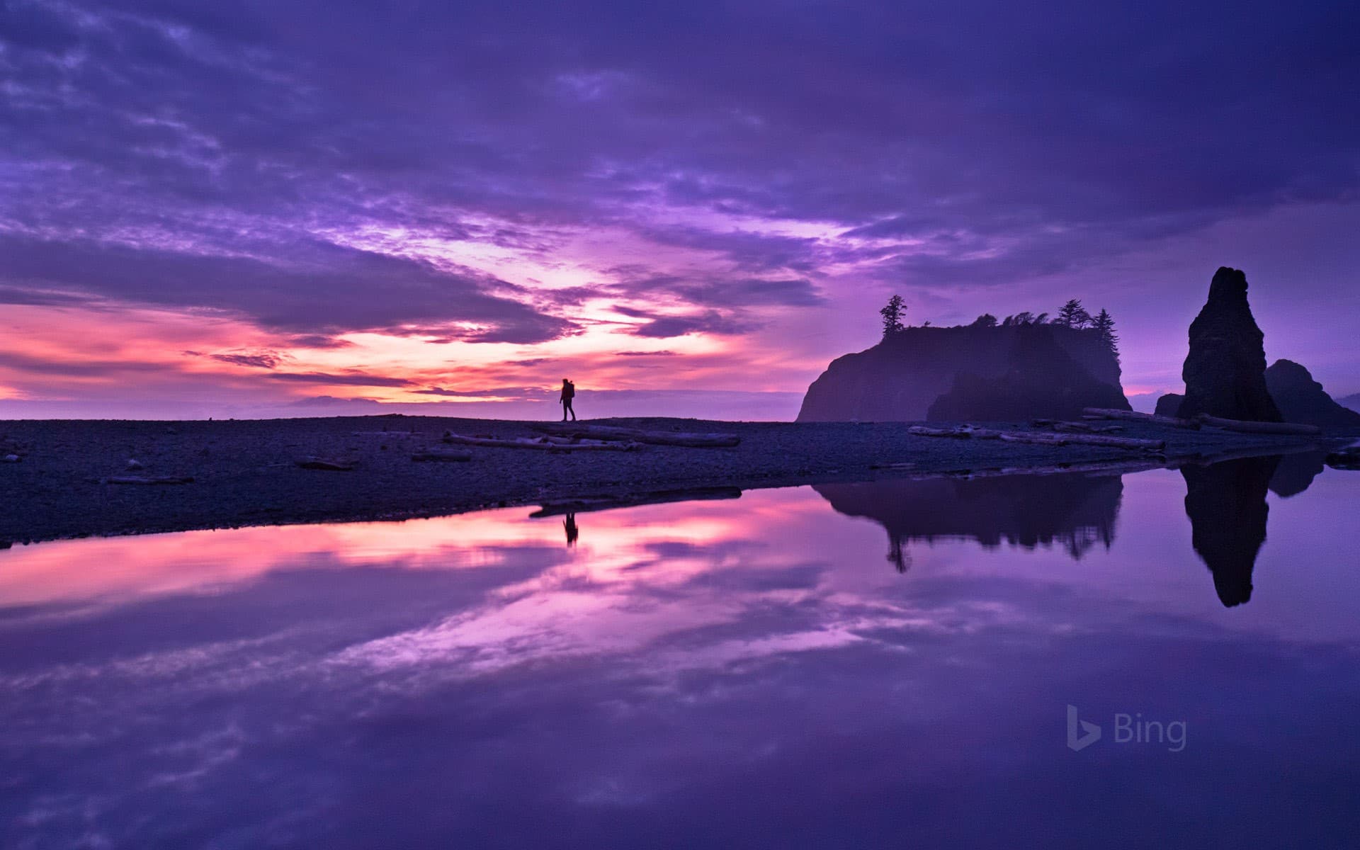 Bing Wallpaper: Ruby Beach in Olympic National Park, Washington