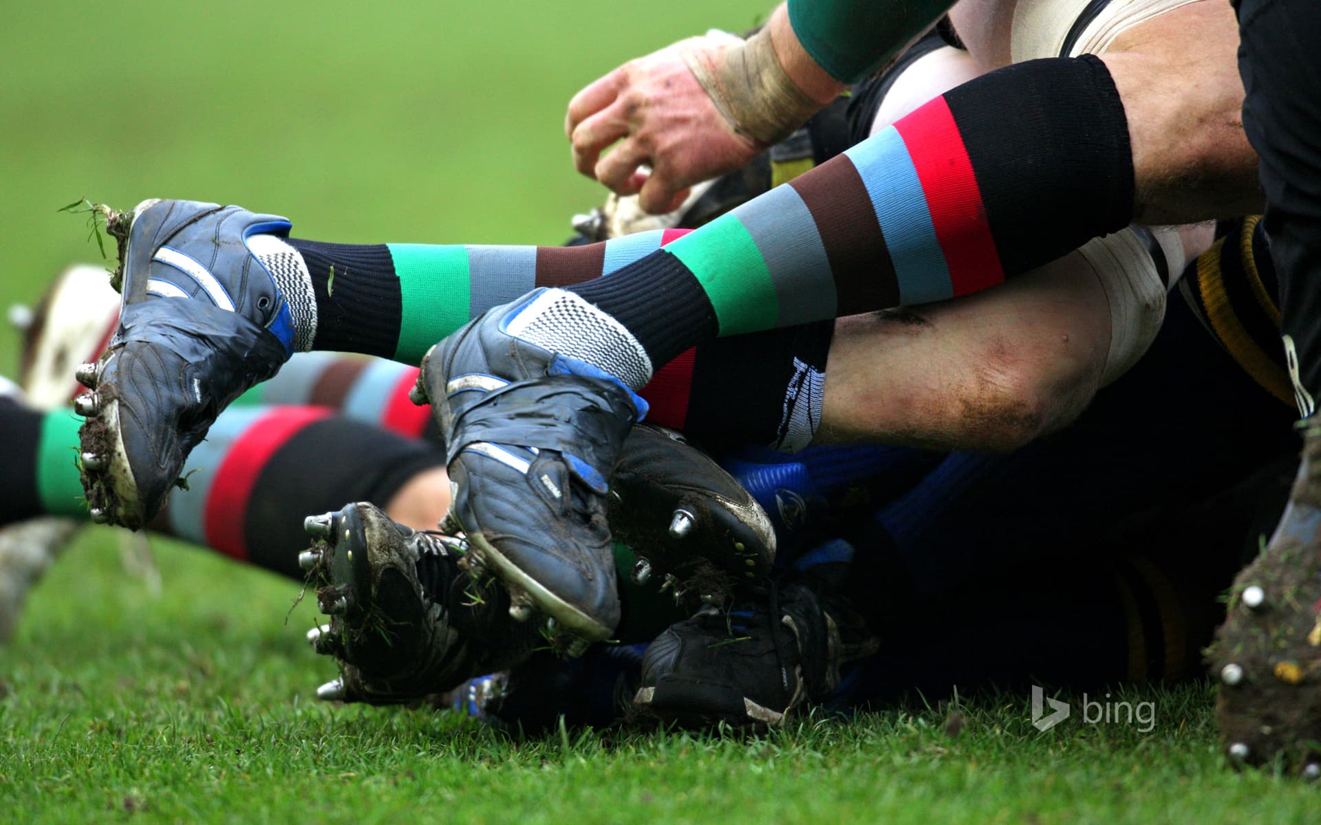 Bing Wallpaper: Rugby Union, close-up of a scrum tackle