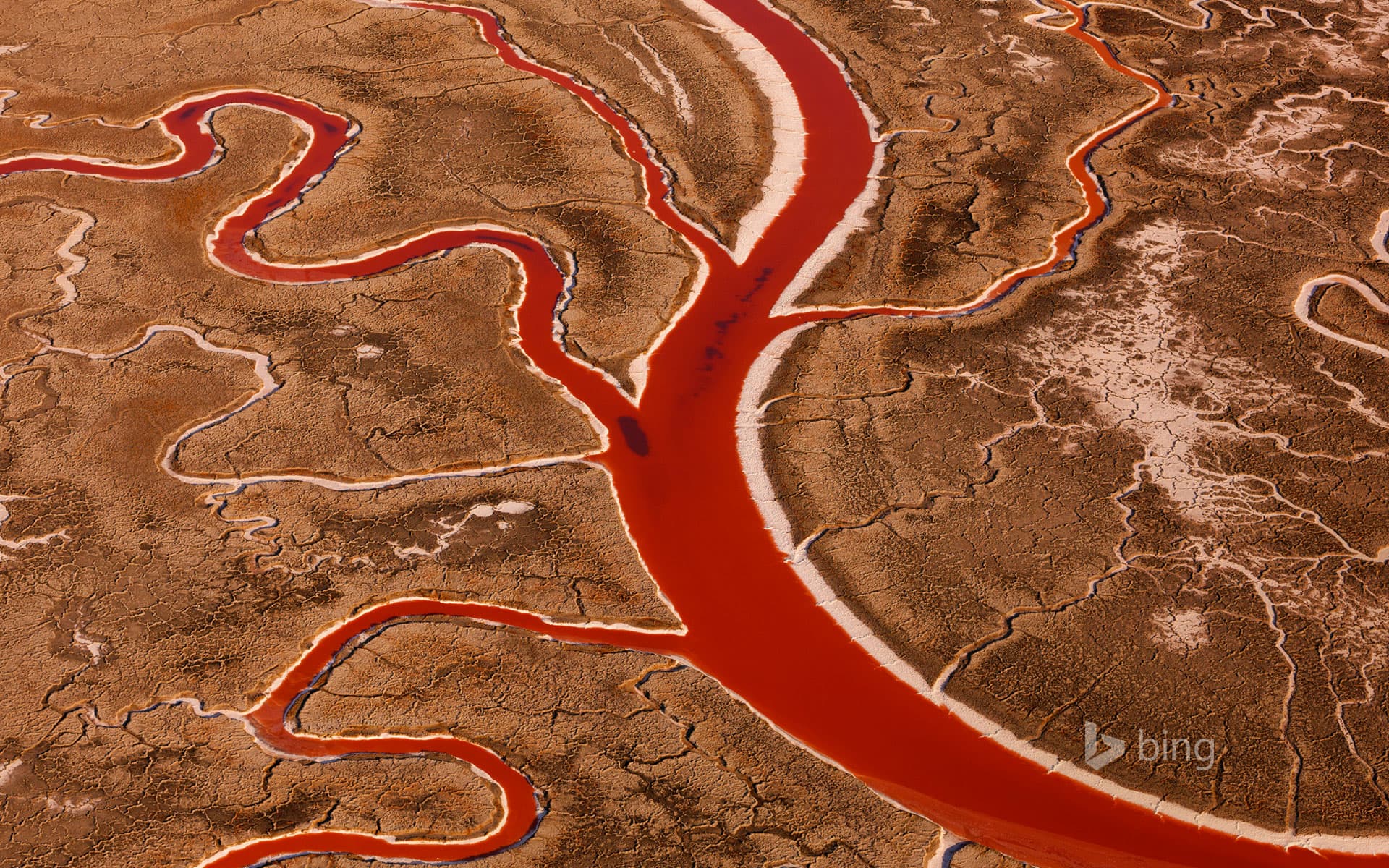 Bing Wallpaper: Salt flats in San Francisco Bay, California