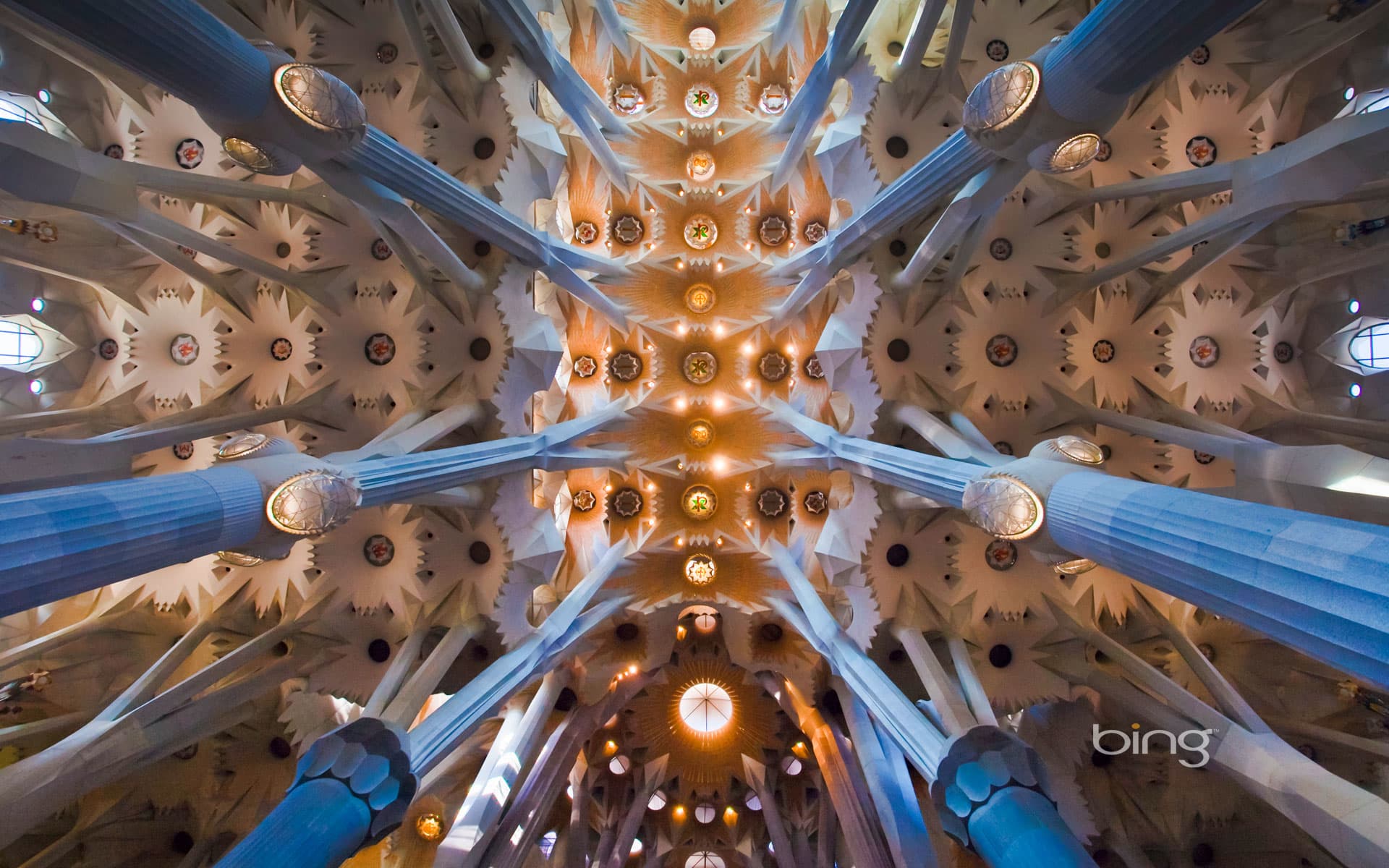 Bing Wallpaper: Ceiling of the Sagrada Família in Barcelona, Spain