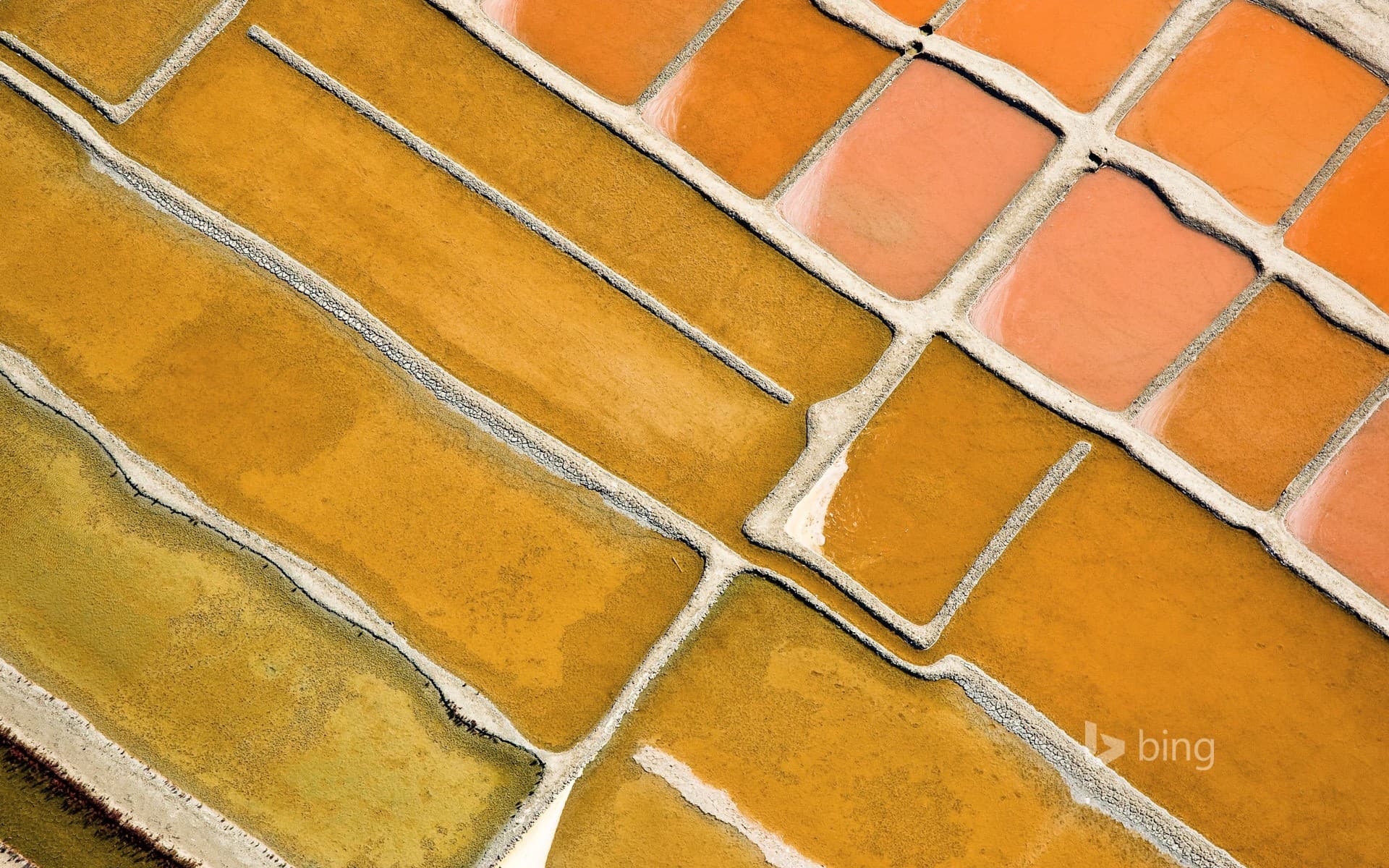 Bing Wallpaper: Salt evaporation ponds at Ars-en-Ré, Charente-Maritime, France
