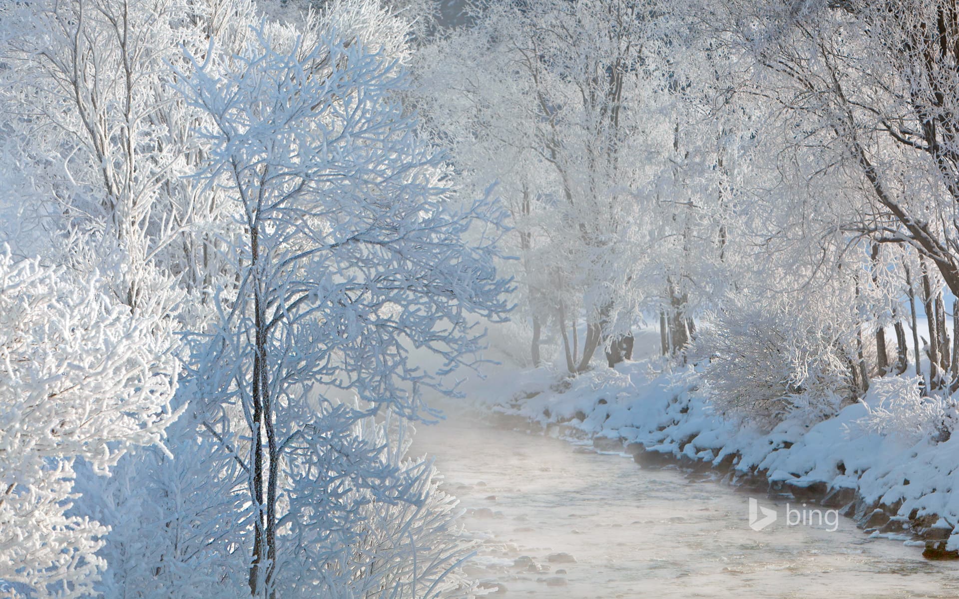 Bing Wallpaper: Salzach River in Austria