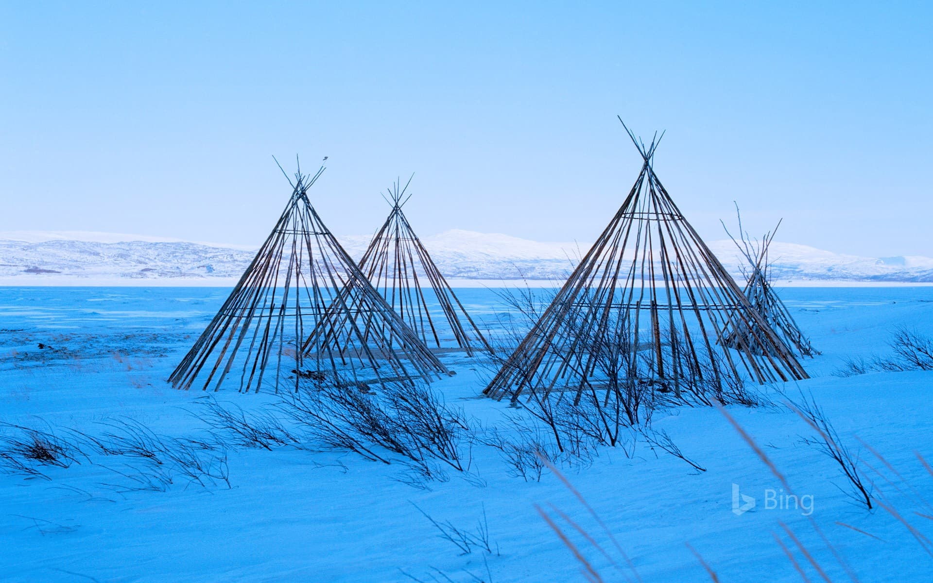 Bing Wallpaper: Sami lavvu structures, Finnmark, Norway