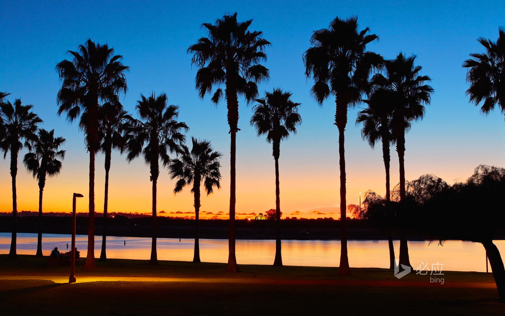 Bing Wallpaper: Palm Grove at Mission Bay at Sunset, San Diego, California, USA
