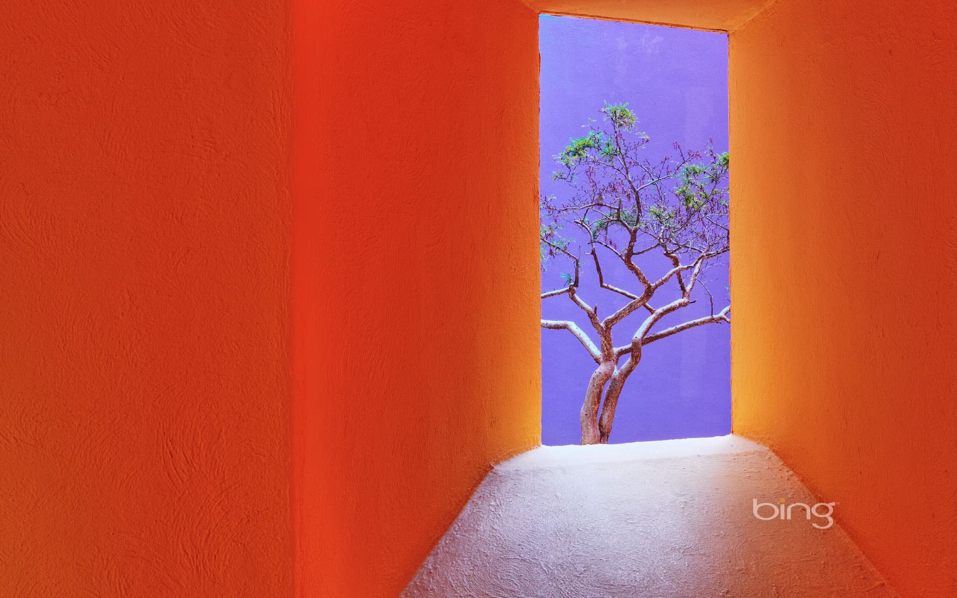 Bing Wallpaper: Orange corridor, San José del Cabo, Mexico