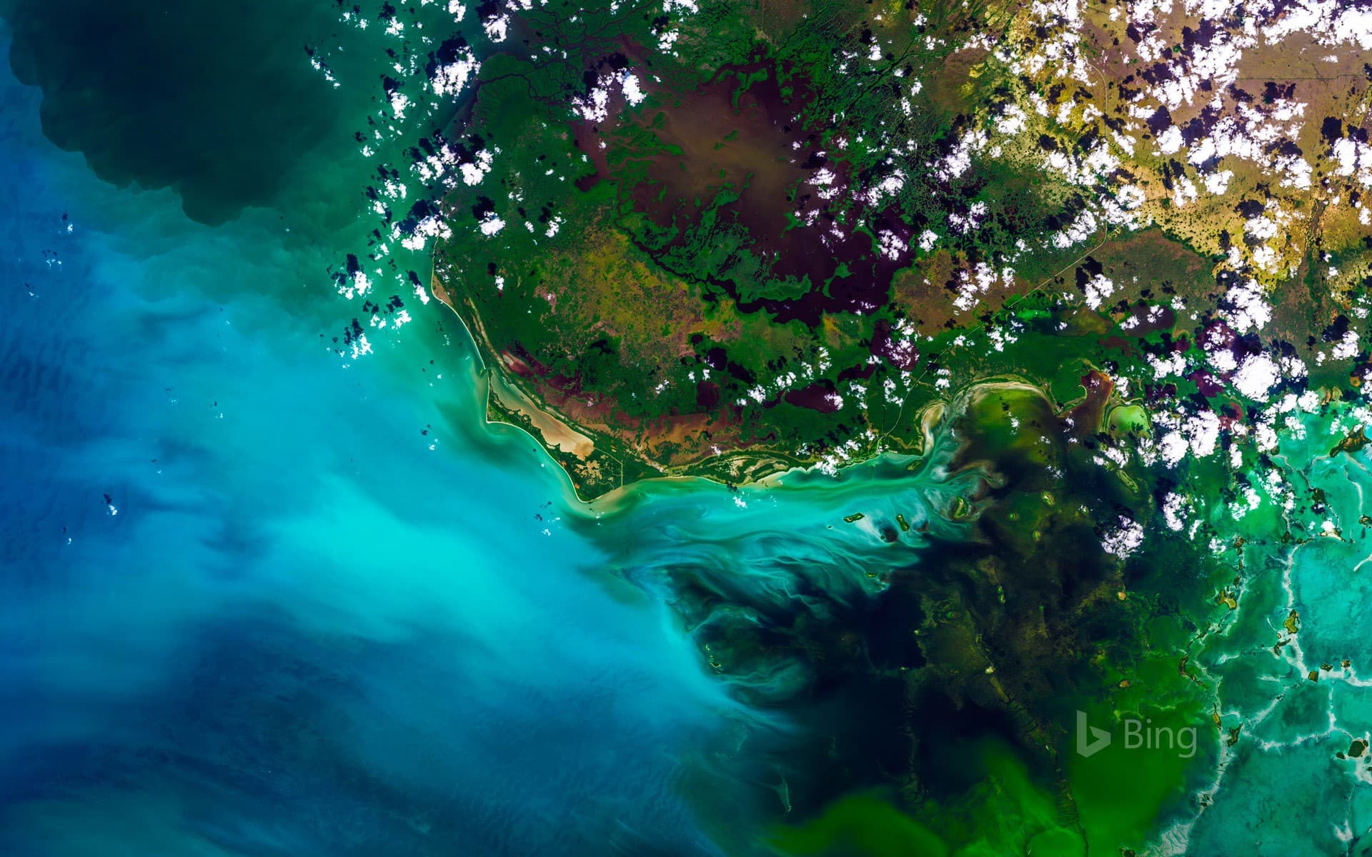Bing Wallpaper: Satellite view of Everglades National Park, Florida