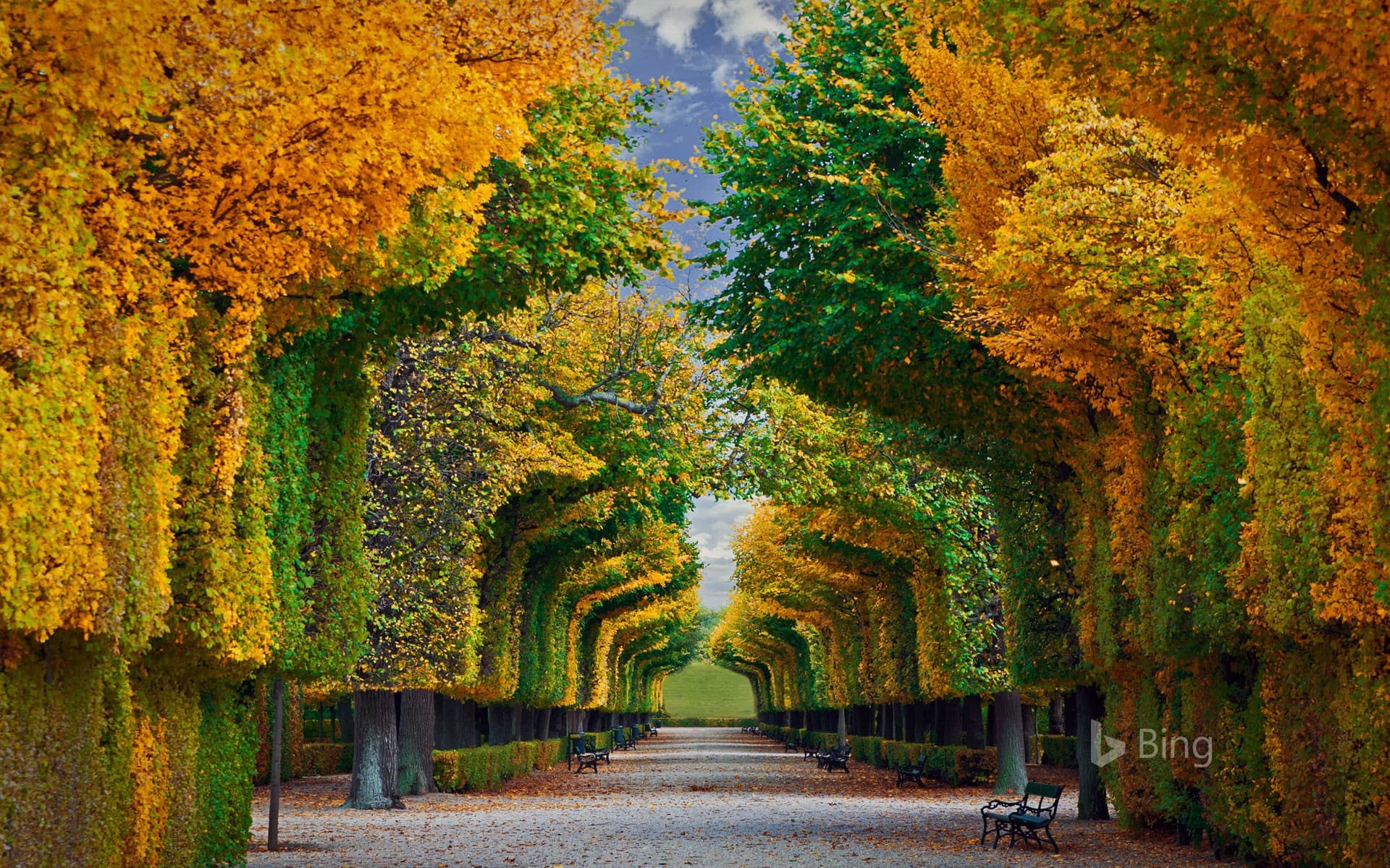 Bing Wallpaper: Schönbrunn Palace gardens in Vienna, Austria