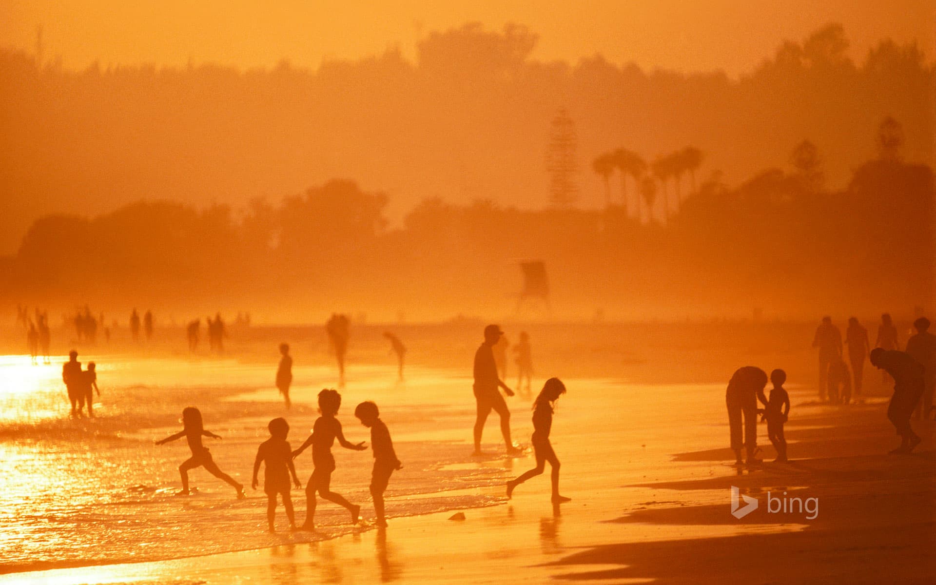 Bing Wallpaper: The beach at Coronado, California, USA