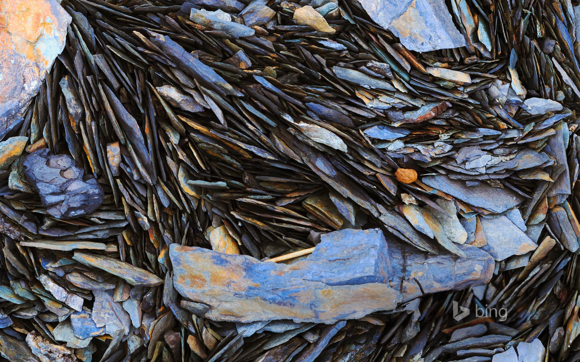 Bing Wallpaper: Rocky shoreline in Saguenay-St. Lawrence Marine Park, Quebec, Canada