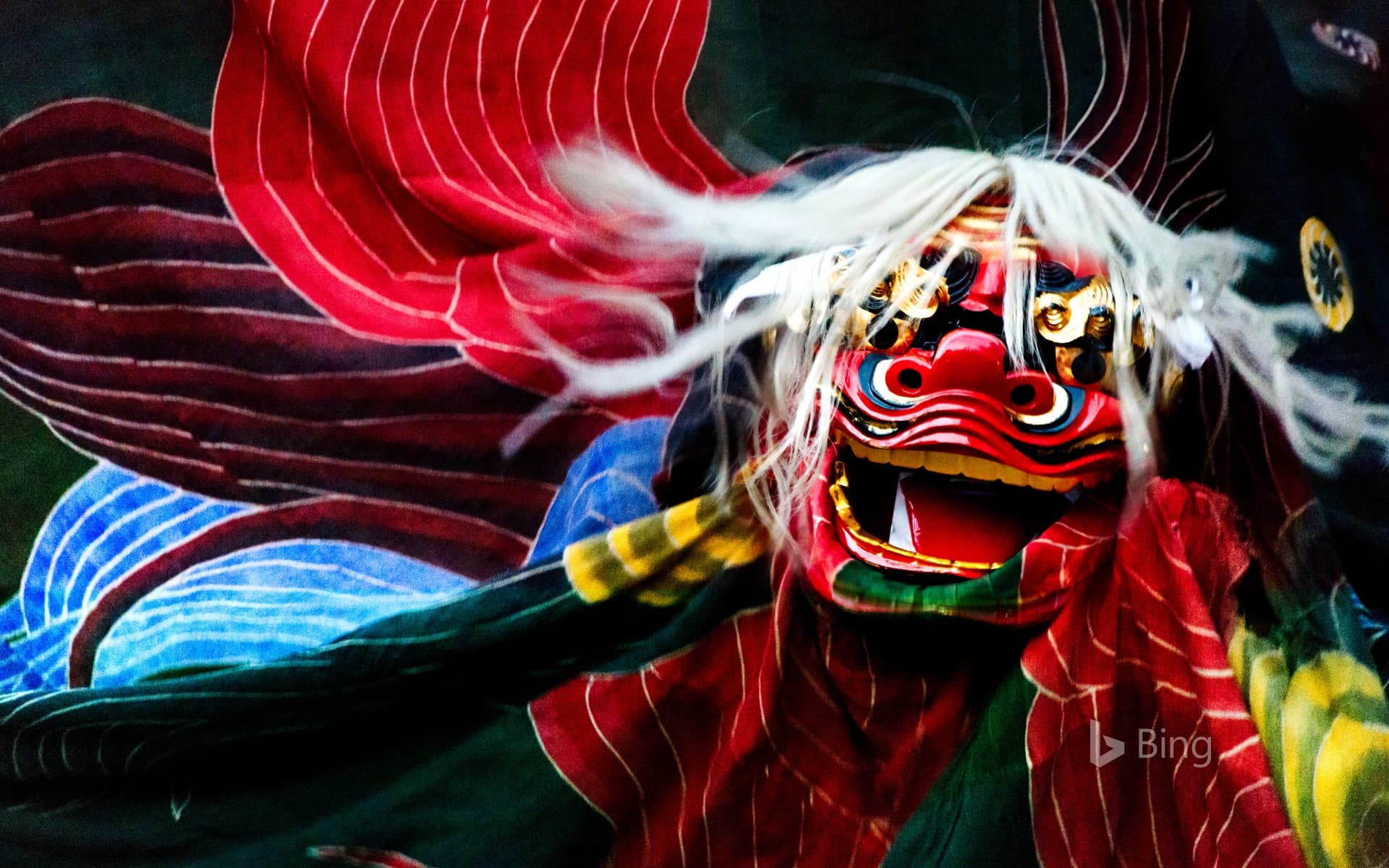 Bing Wallpaper: "Lion Dance", Gujo, Gifu Prefecture