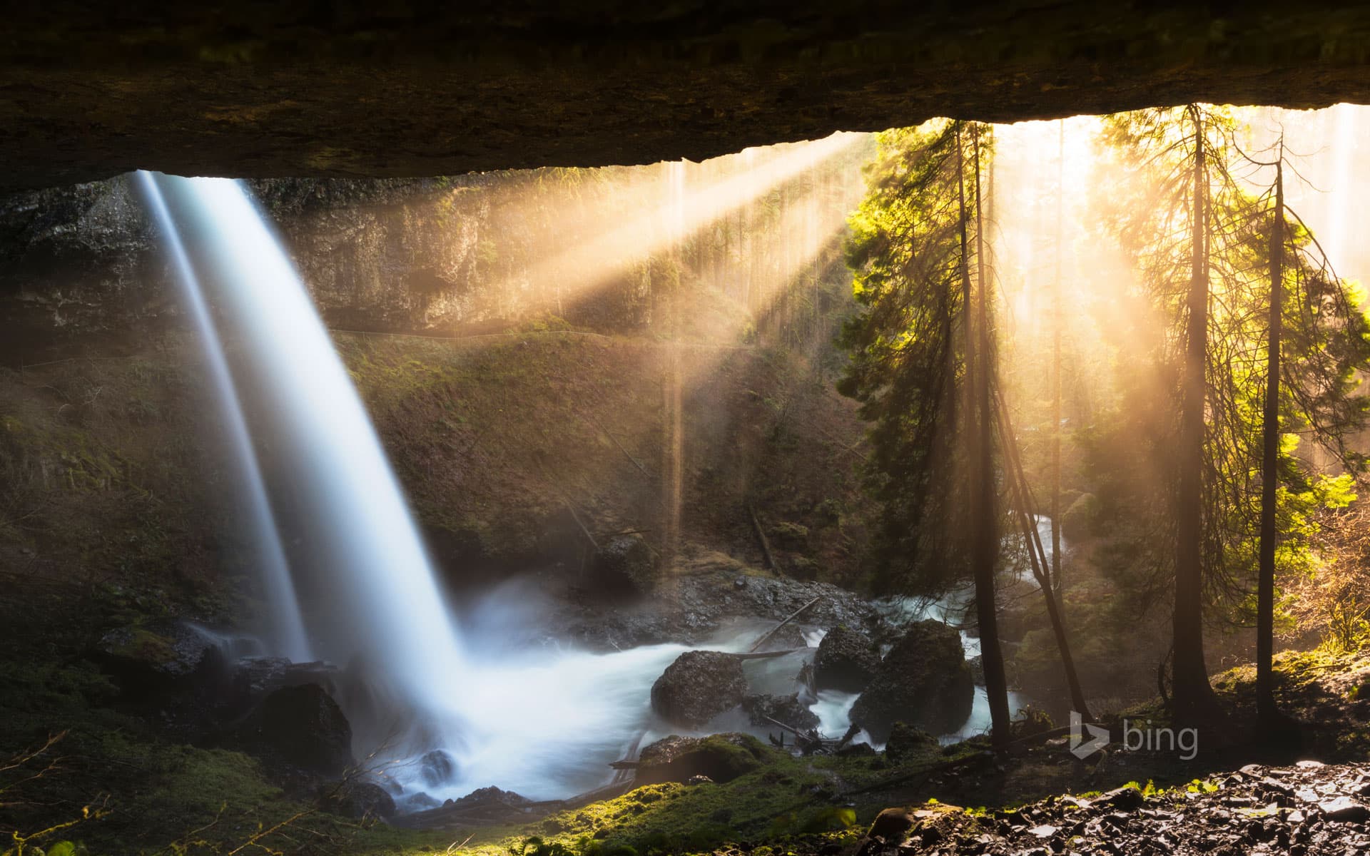 Bing Wallpaper: The North Falls in Silver Falls State Park, Oregon