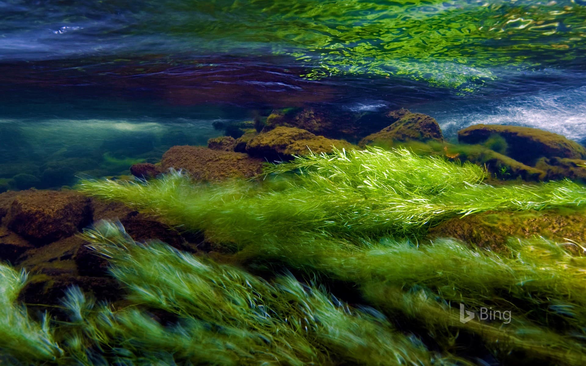 Bing Wallpaper: Afon Ogwen, a river in Snowdonia National Park, Wales