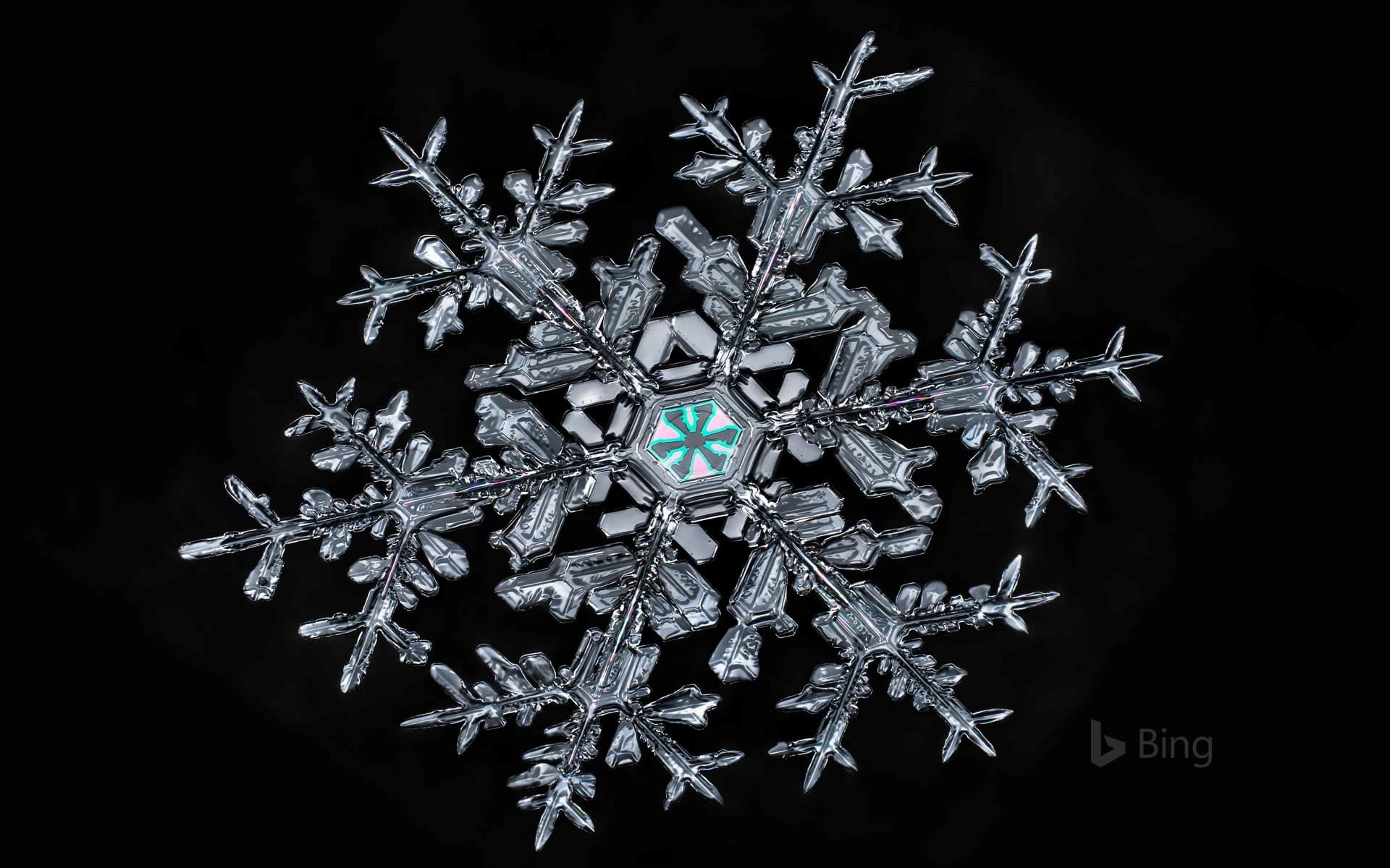 Bing Wallpaper: A snowflake