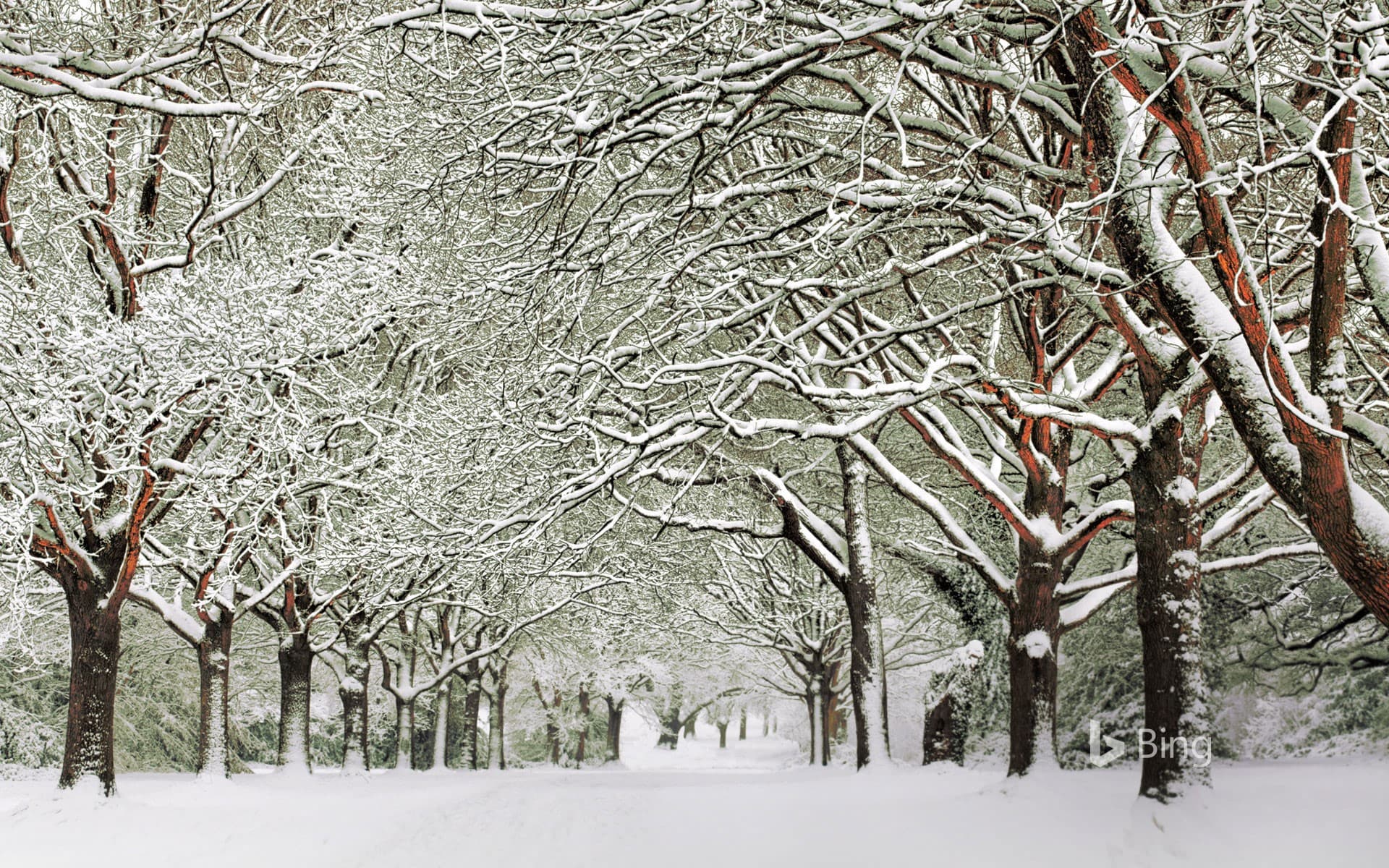 Bing Wallpaper: Southampton Common, England