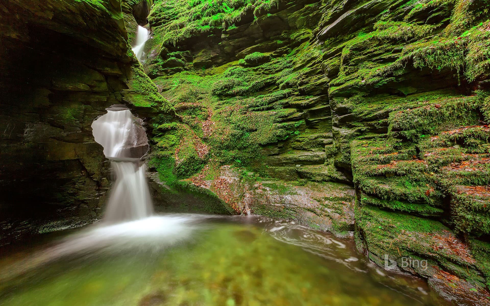 Bing Wallpaper: A waterfall at St Nectan's Glen near Tintagel, Cornwall