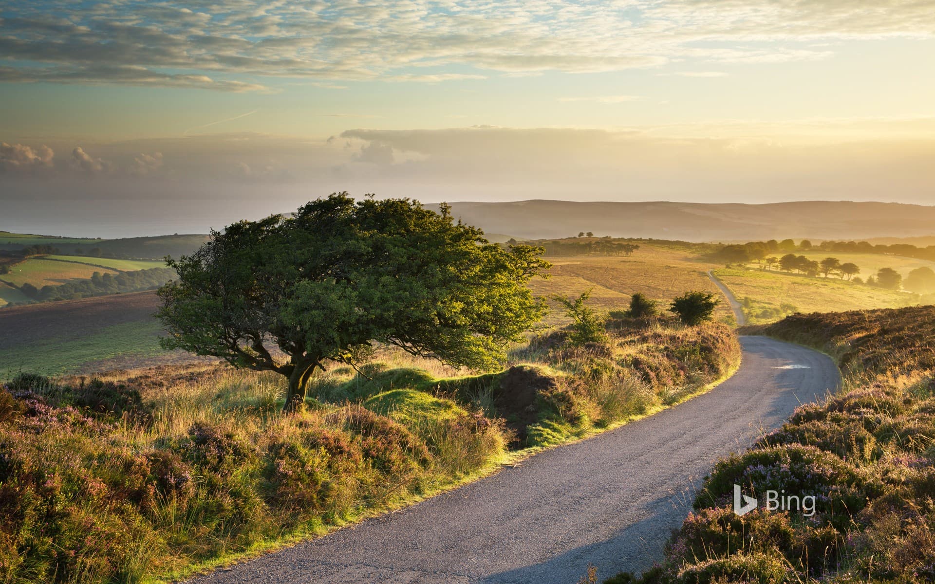 Bing Wallpaper: Stoke Pero Common, Exmoor National Park, England, UK
