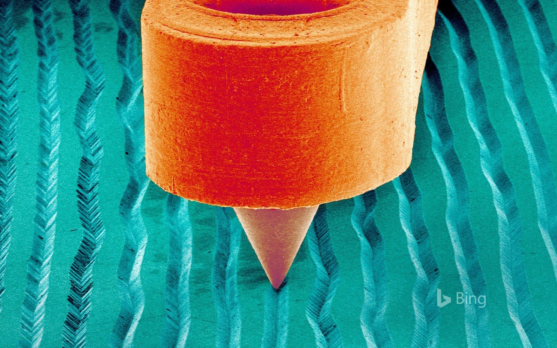 Bing Wallpaper: A scanning electron micrograph of a needle on a record