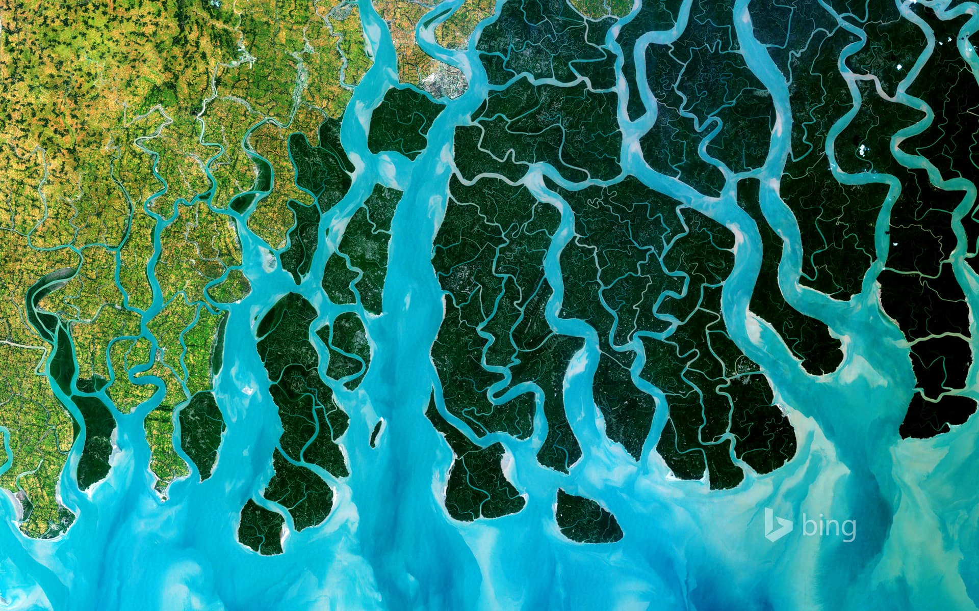Bing Wallpaper: Satellite photo of the Ganges Delta, India and Bangladesh