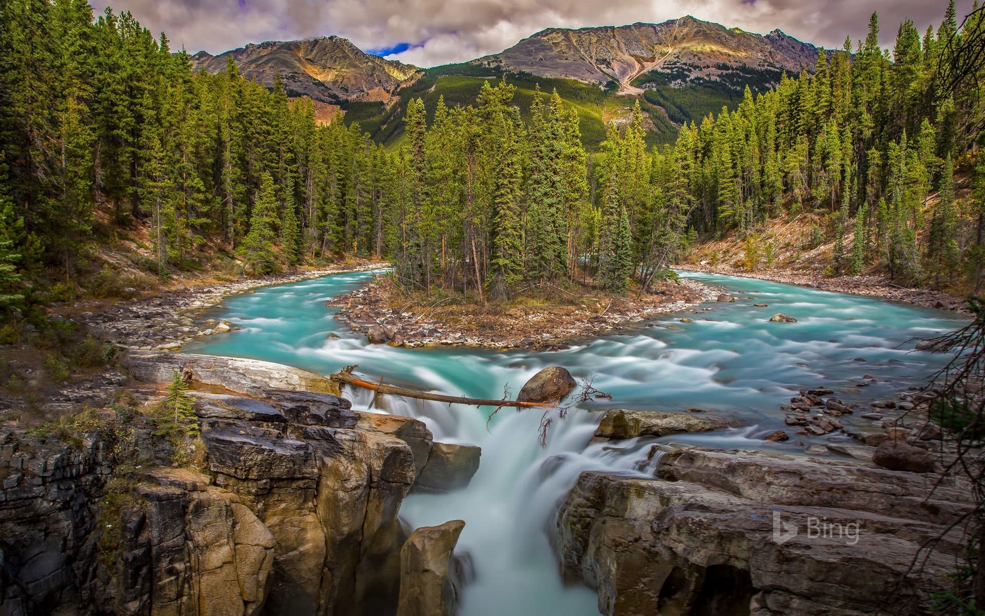Bing Wallpaper: Sunwapta Falls in Jasper National Park, Alberta, Canada
