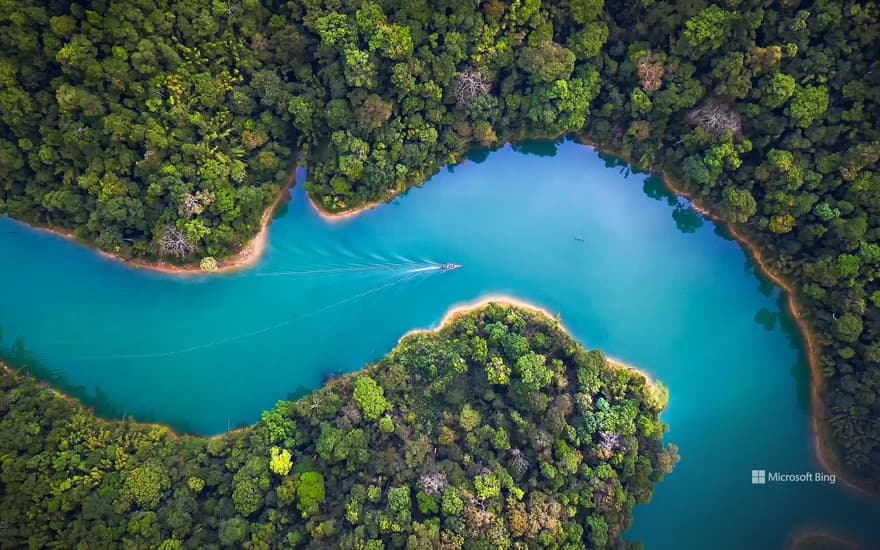 Khao Sok National Park, Surat Thani, Thailand