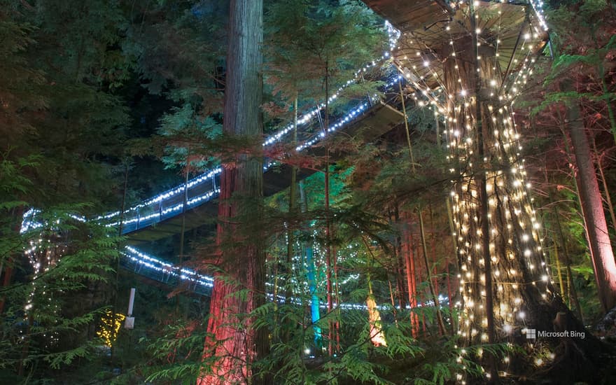 Illuminated Capilano Suspension Bridge Park, Vancouver, British Columbia