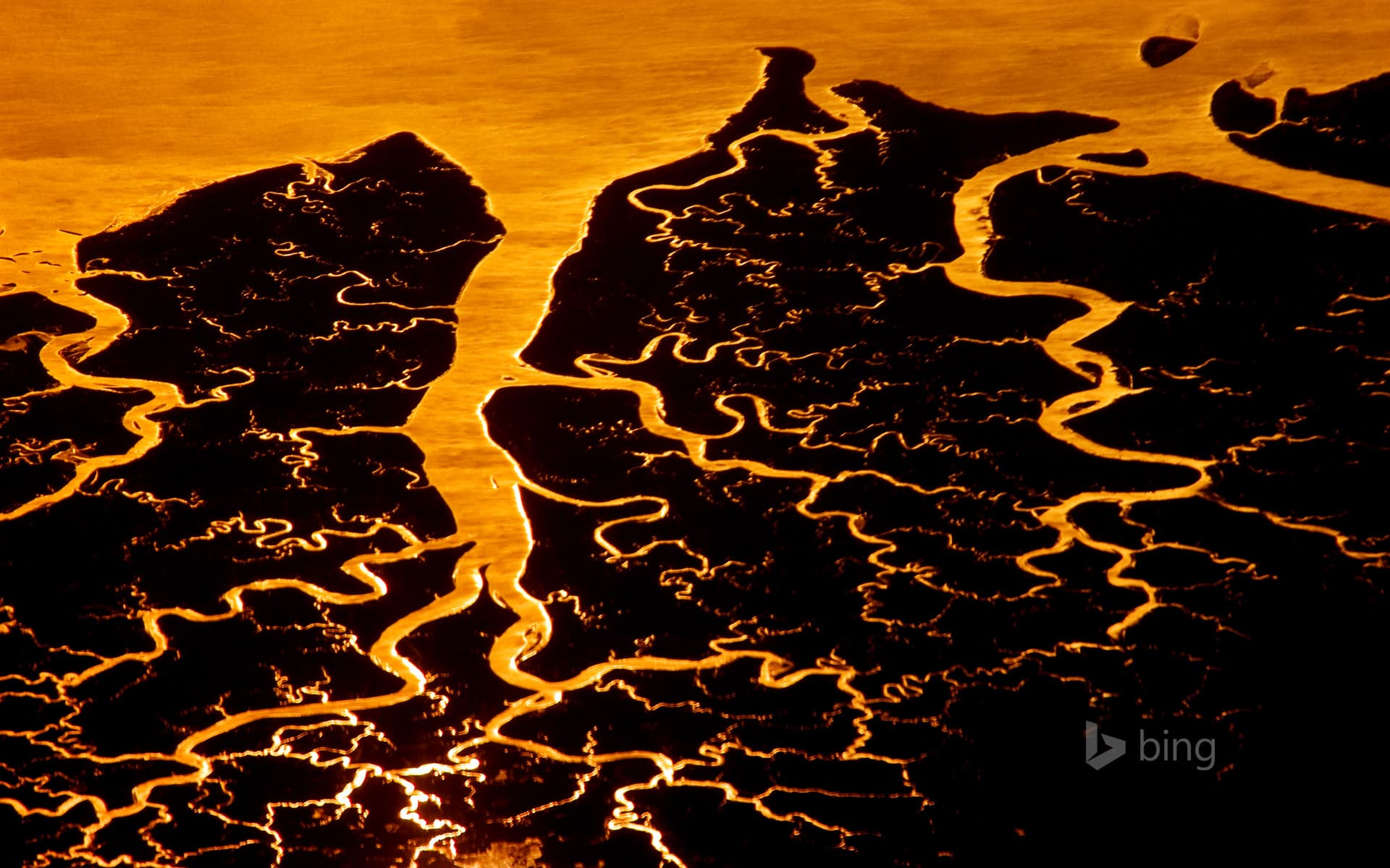 Bing Wallpaper: Suwannee River delta, Florida