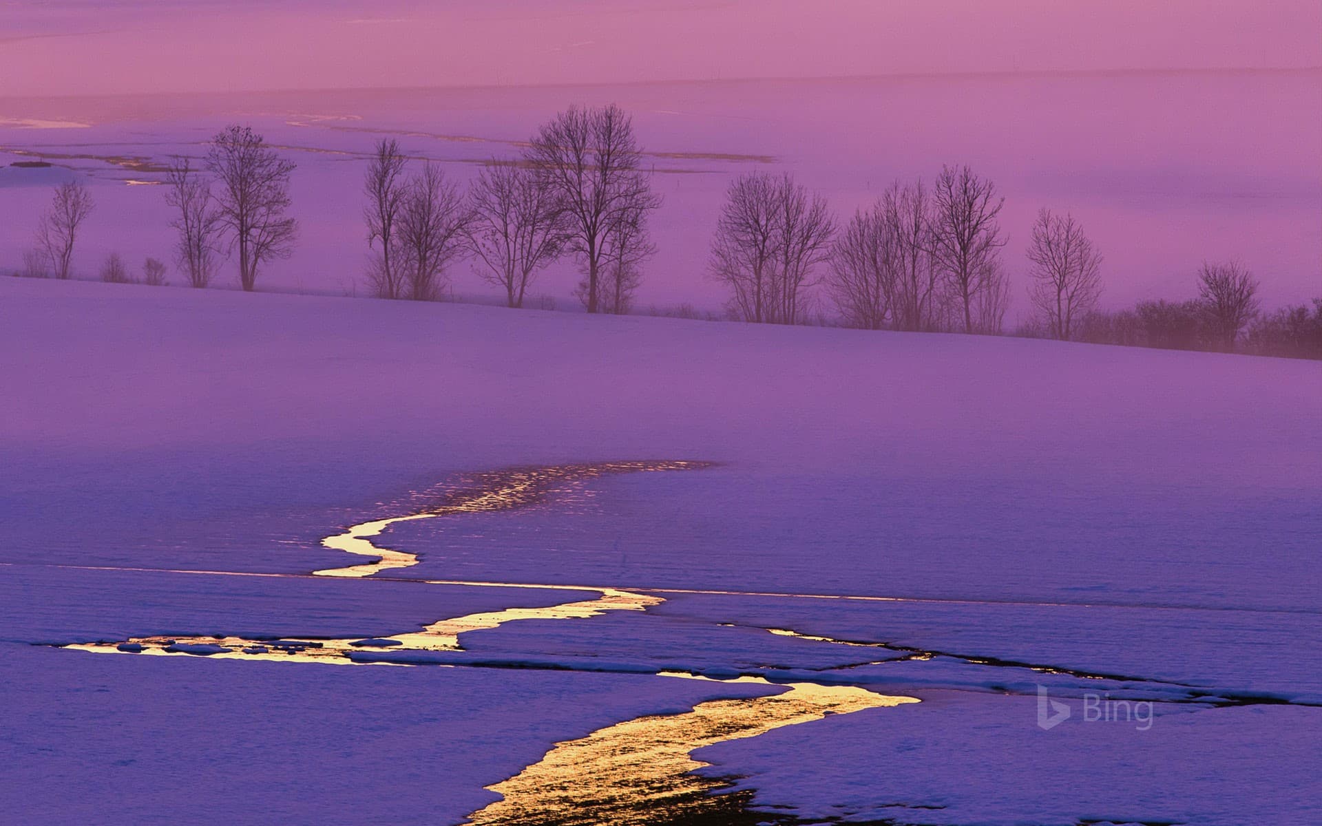 Bing Wallpaper: Sunset on a snowy field in Switzerland
