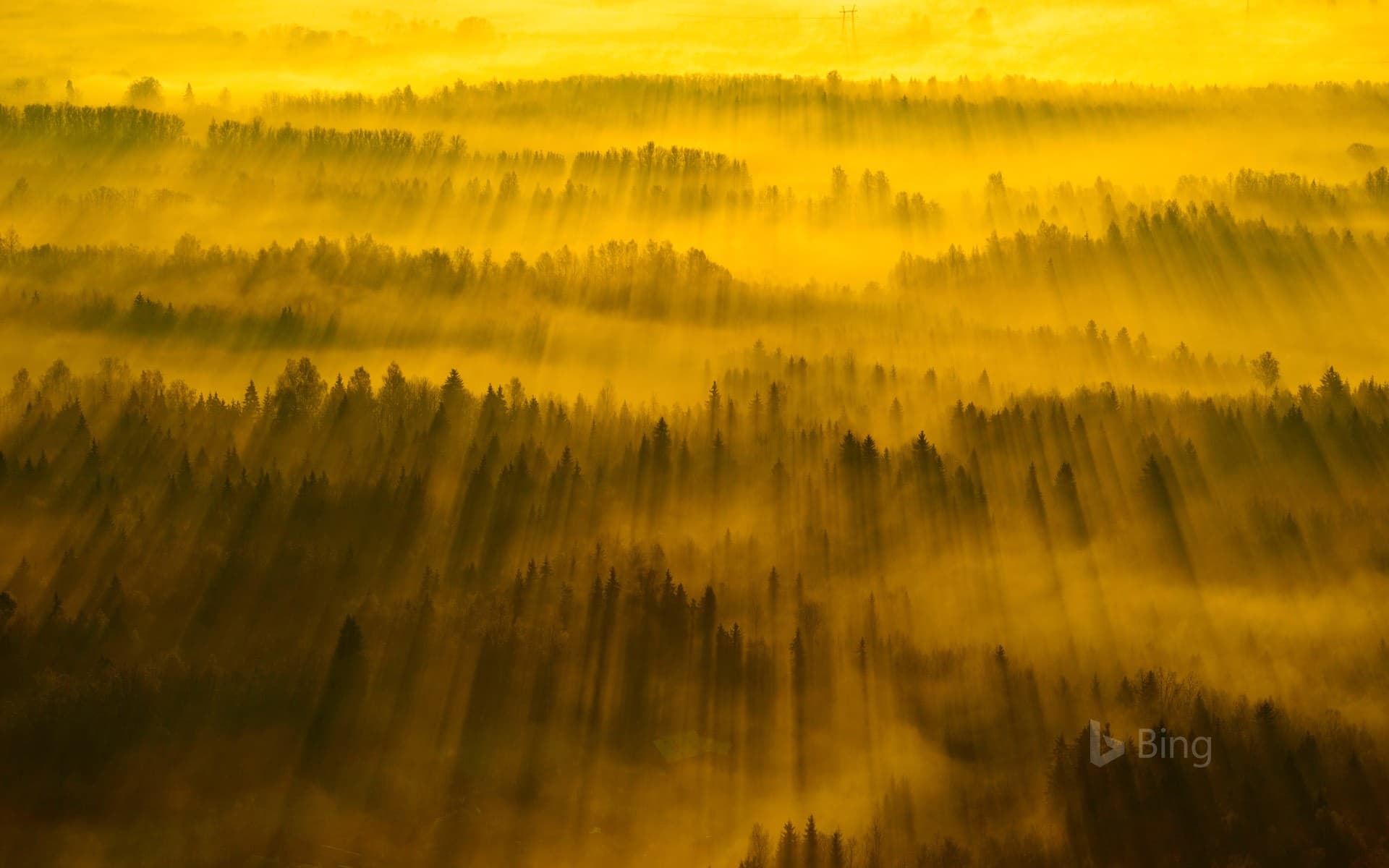 Bing Wallpaper: Sunbeams across Tartu County, Estonia