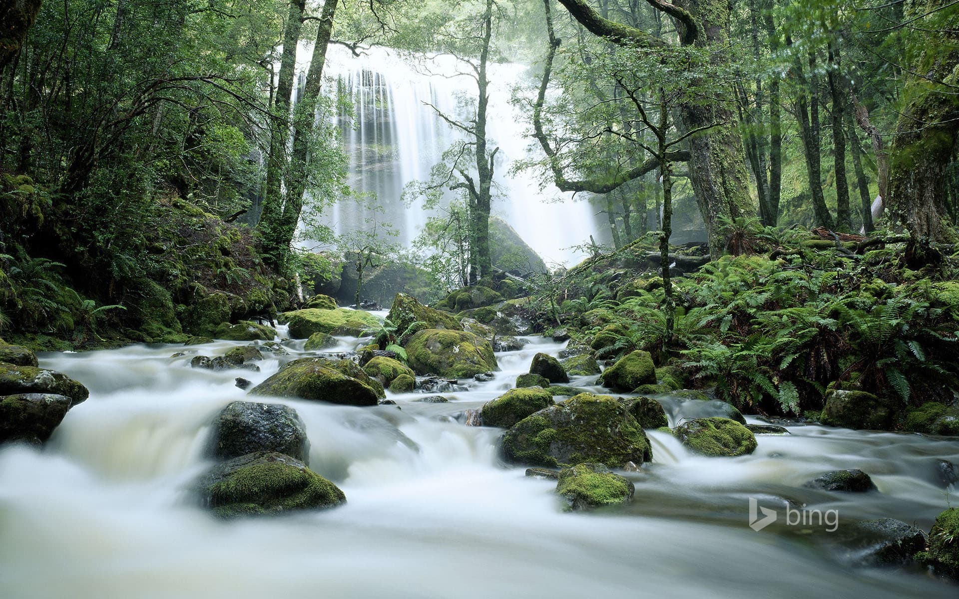Bing Wallpaper: Jerusalem River Waterfalls, Tasmania, Australia