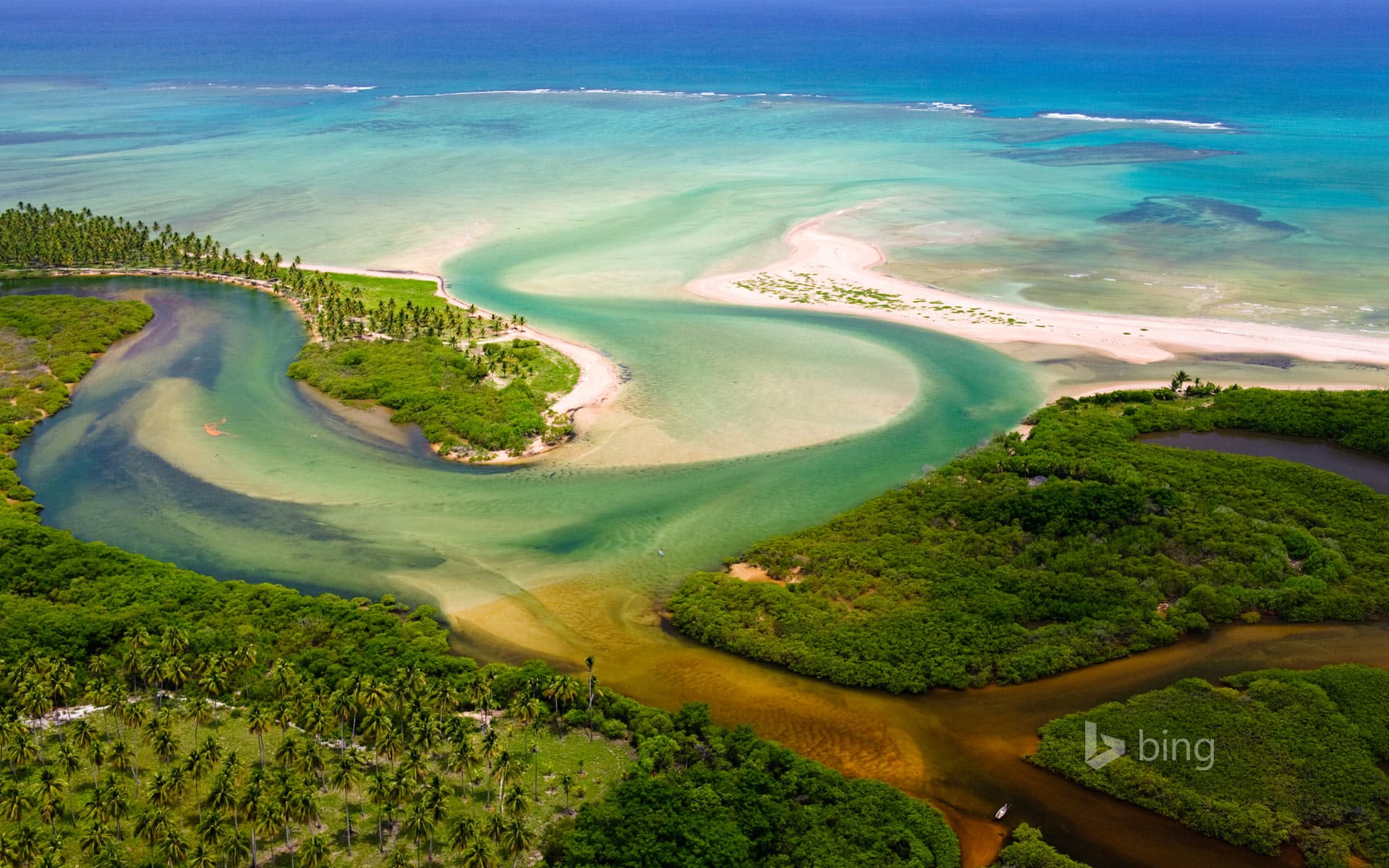 Bing Wallpaper: Tatuamunha River estuary, Brazil