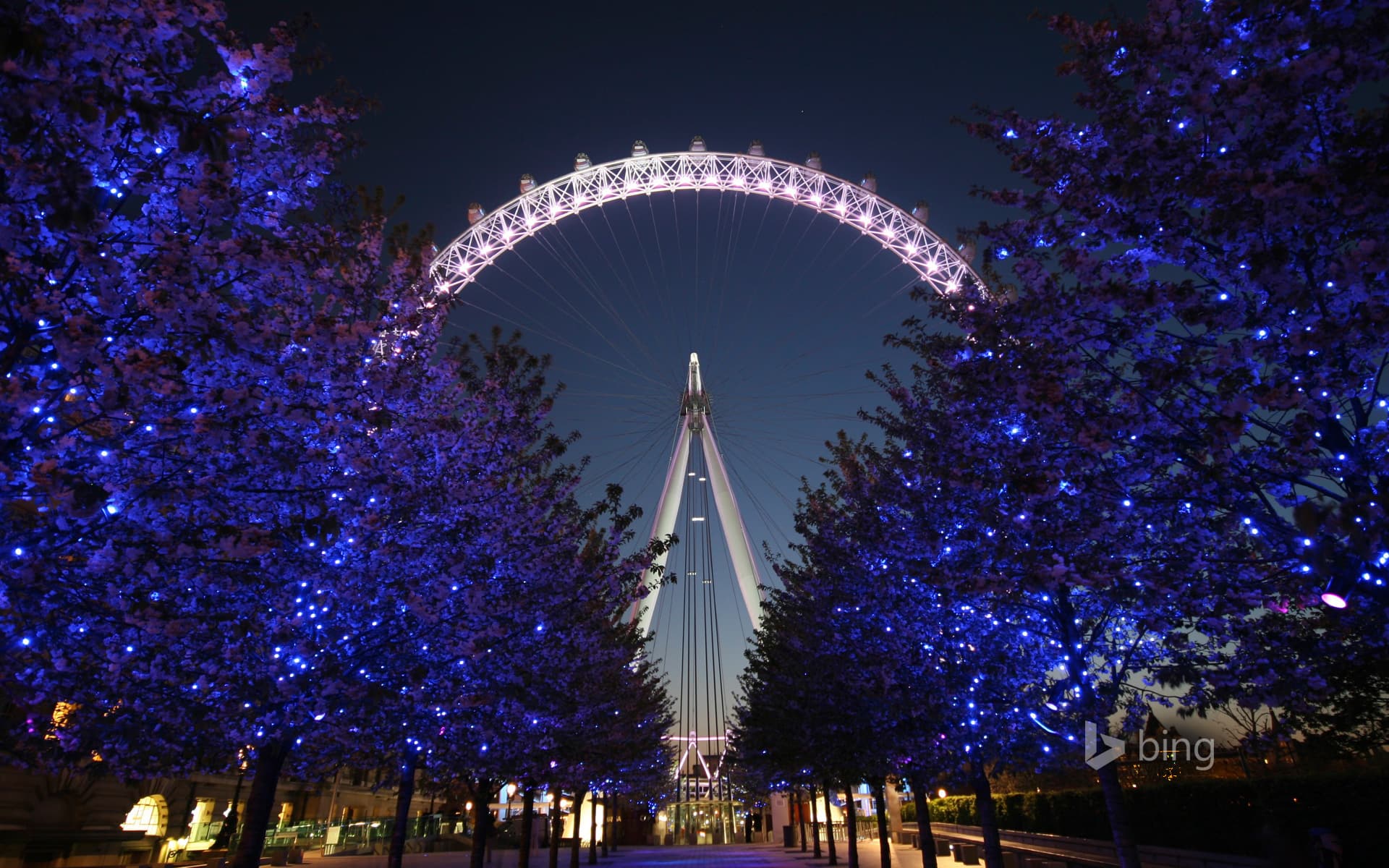 Bing Wallpaper: The London Eye at night behind a row of illuminated trees