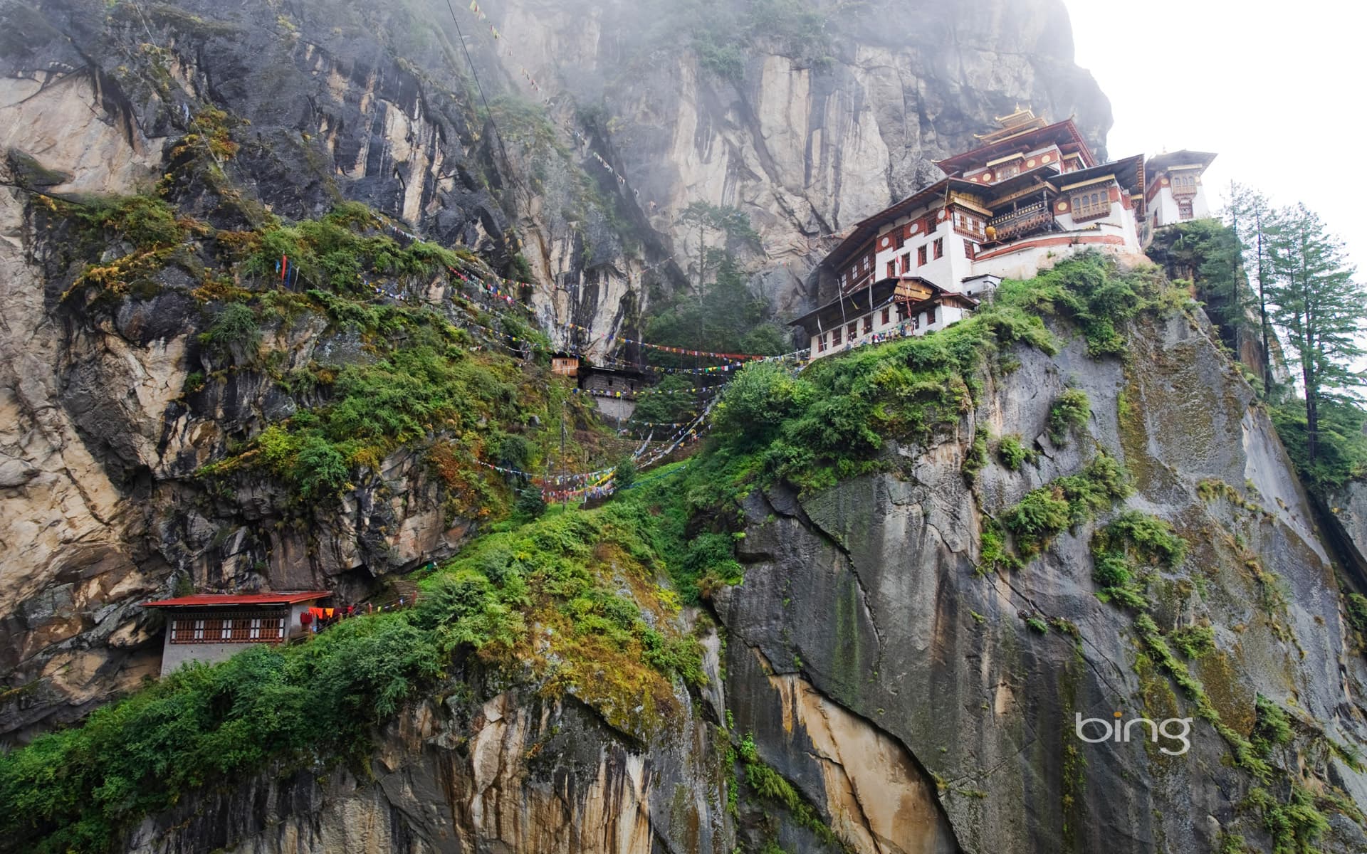 Bing Wallpaper: Paro Taktsang (Tiger's Nest Monastery) above Paro Valley, Bhutan