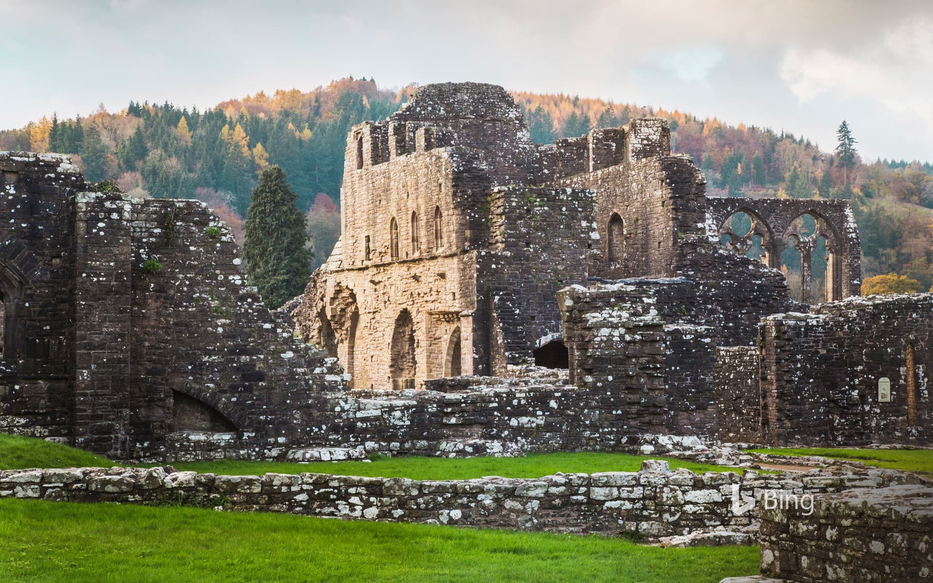 Bing Wallpaper: Tintern Abbey, Wales