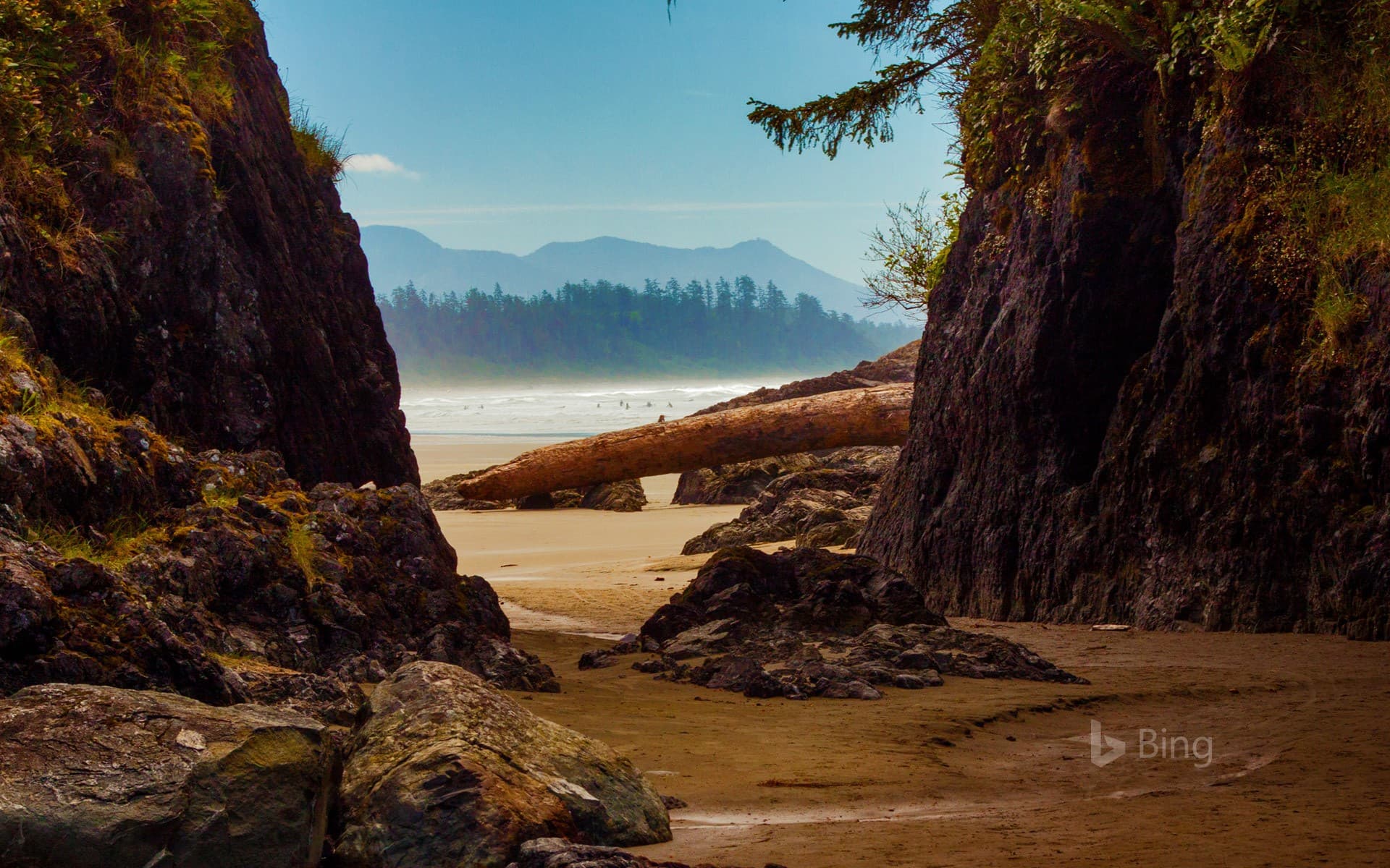 Bing Wallpaper: Beach near Tofino, Vancouver Island, Canada