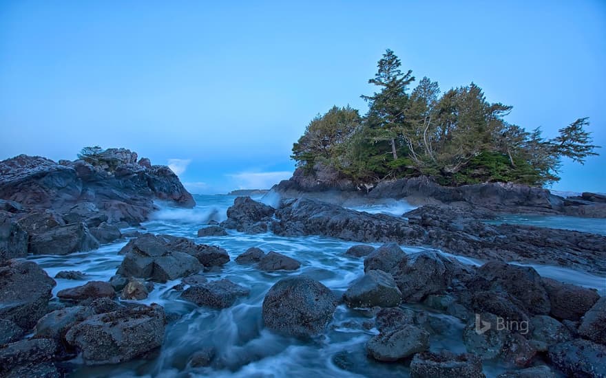 Shoreline near Tofino on Vancouver Island, British Columbia, Canada