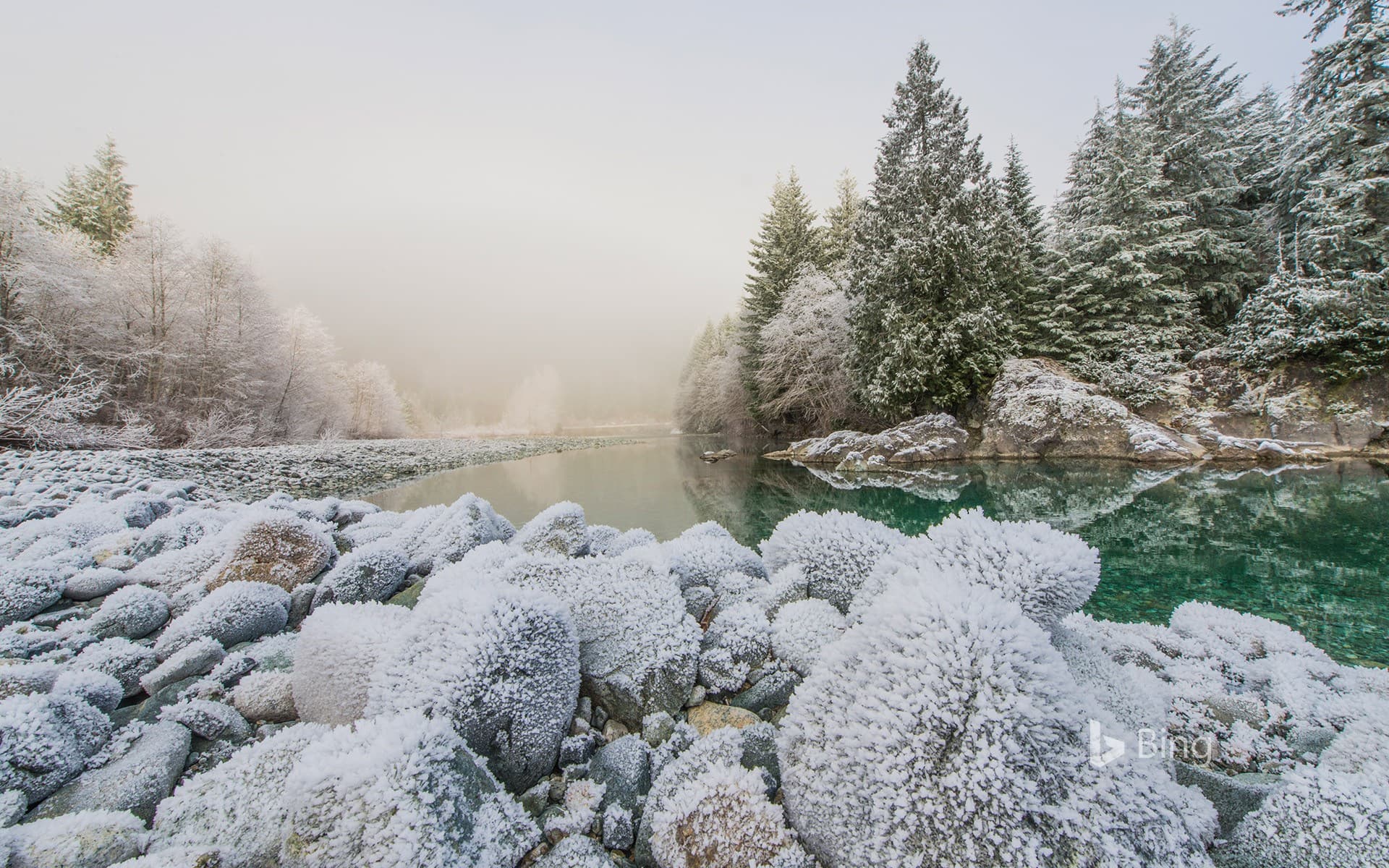 Bing Wallpaper: Frost on the banks of the Taylor River on the road to Tofino, B.C., Canada