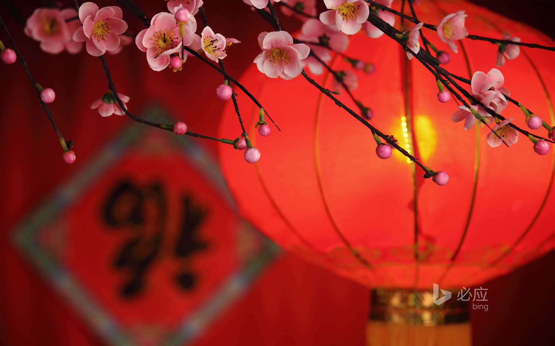 Bing Wallpaper: Chinese new year decoration, lanterns and blessings