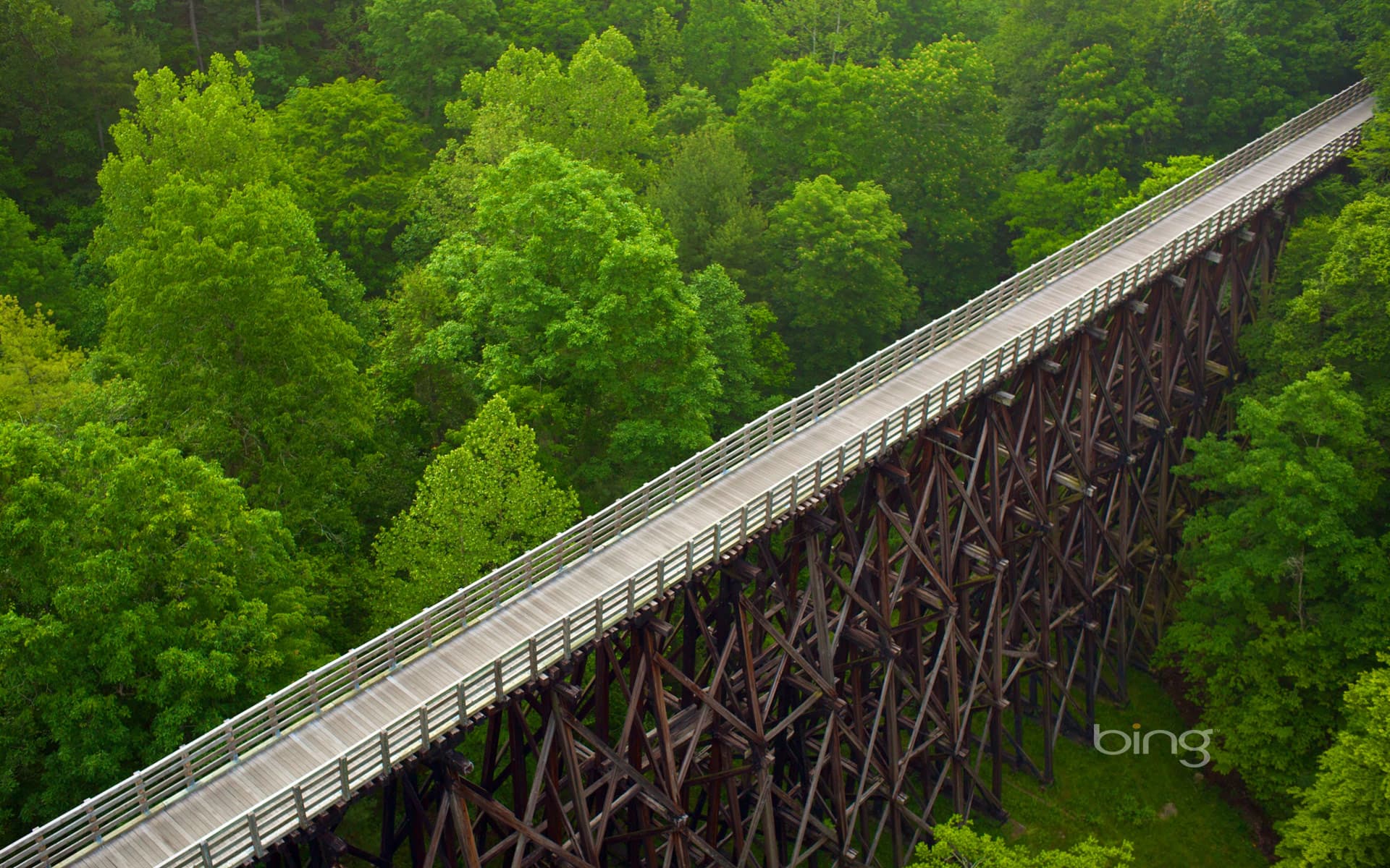 Bing Wallpaper: Trestle bridge on the Virginia Creeper Trail, Virginia
