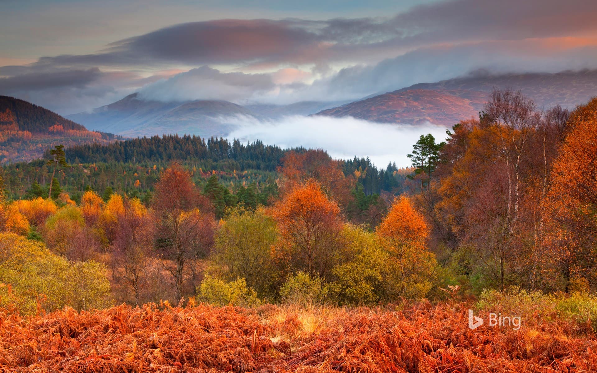 Bing Wallpaper: The Trossachs National Park in autumn, Stirling, Scotland