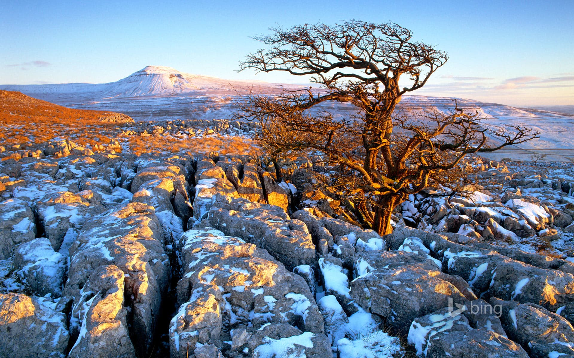 Bing Wallpaper: Landscape from Twistleton Scars, Ingleborough, Yorkshire