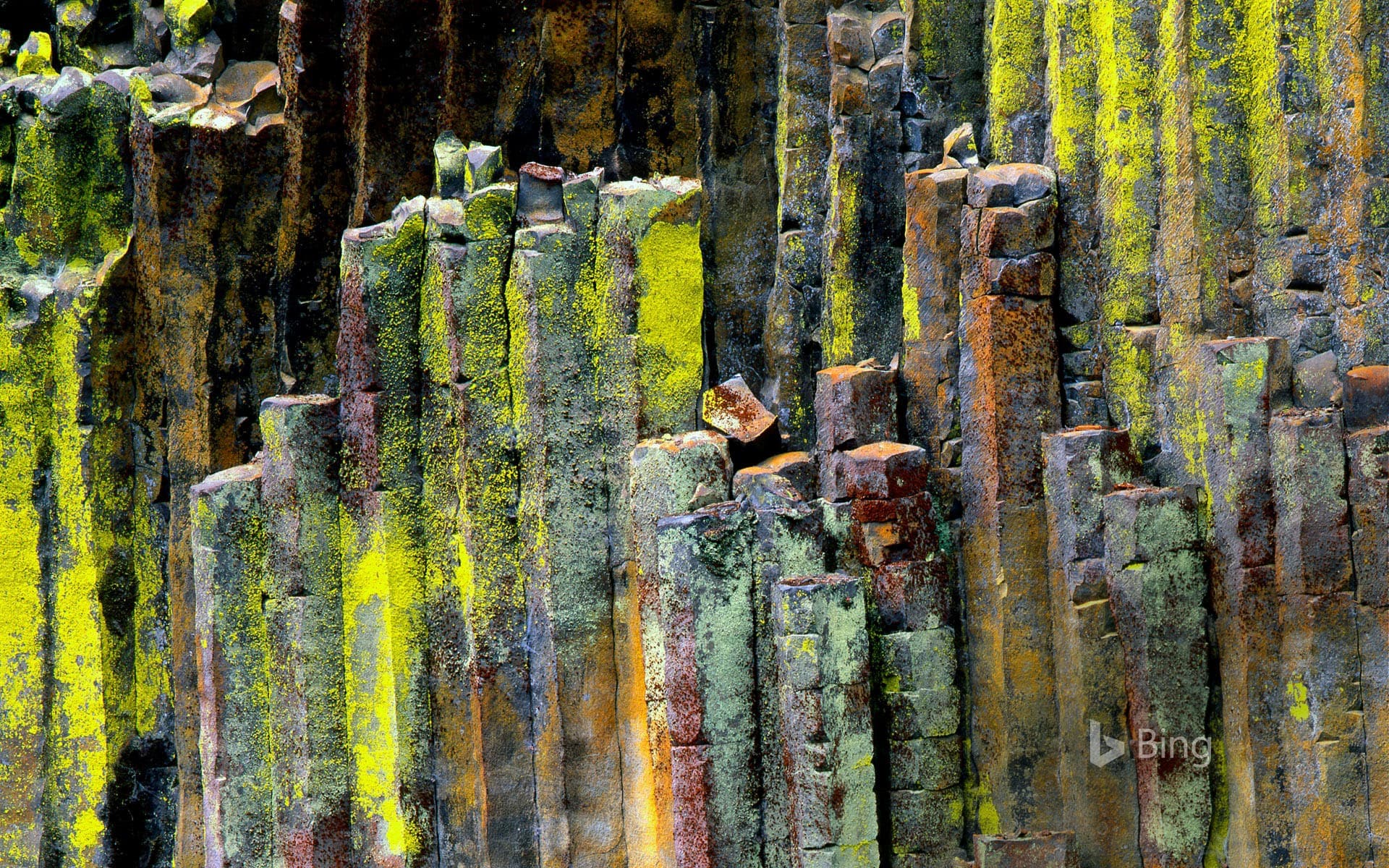 Bing Wallpaper: Columnar basalt stone in the Umpqua National Forest, Oregon