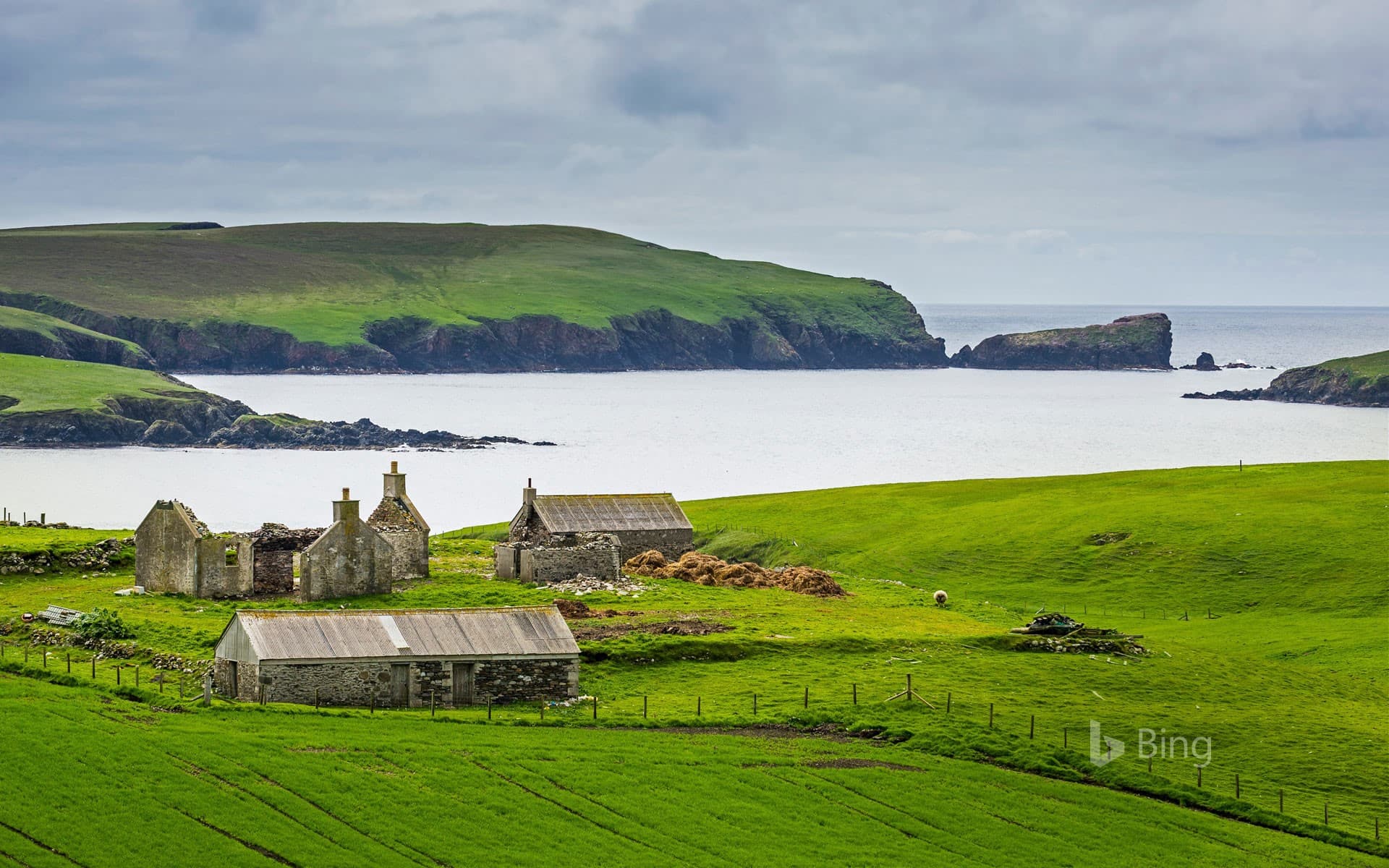 Bing Wallpaper: An old farm in the Shetland Islands, Scotland