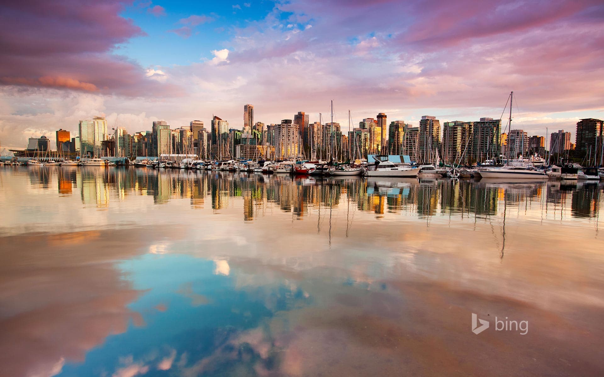 Bing Wallpaper: Evening view of the city skyline of Vancouver, Canada, from Stanley Park