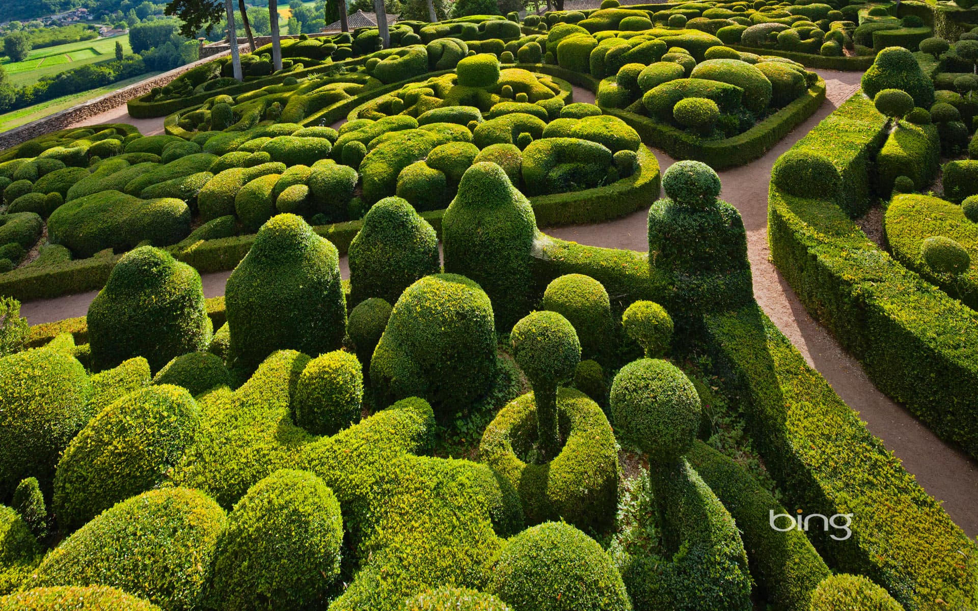 Bing Wallpaper: Sculpted boxwoods at the Château de Marqueyssac in Vézac, France