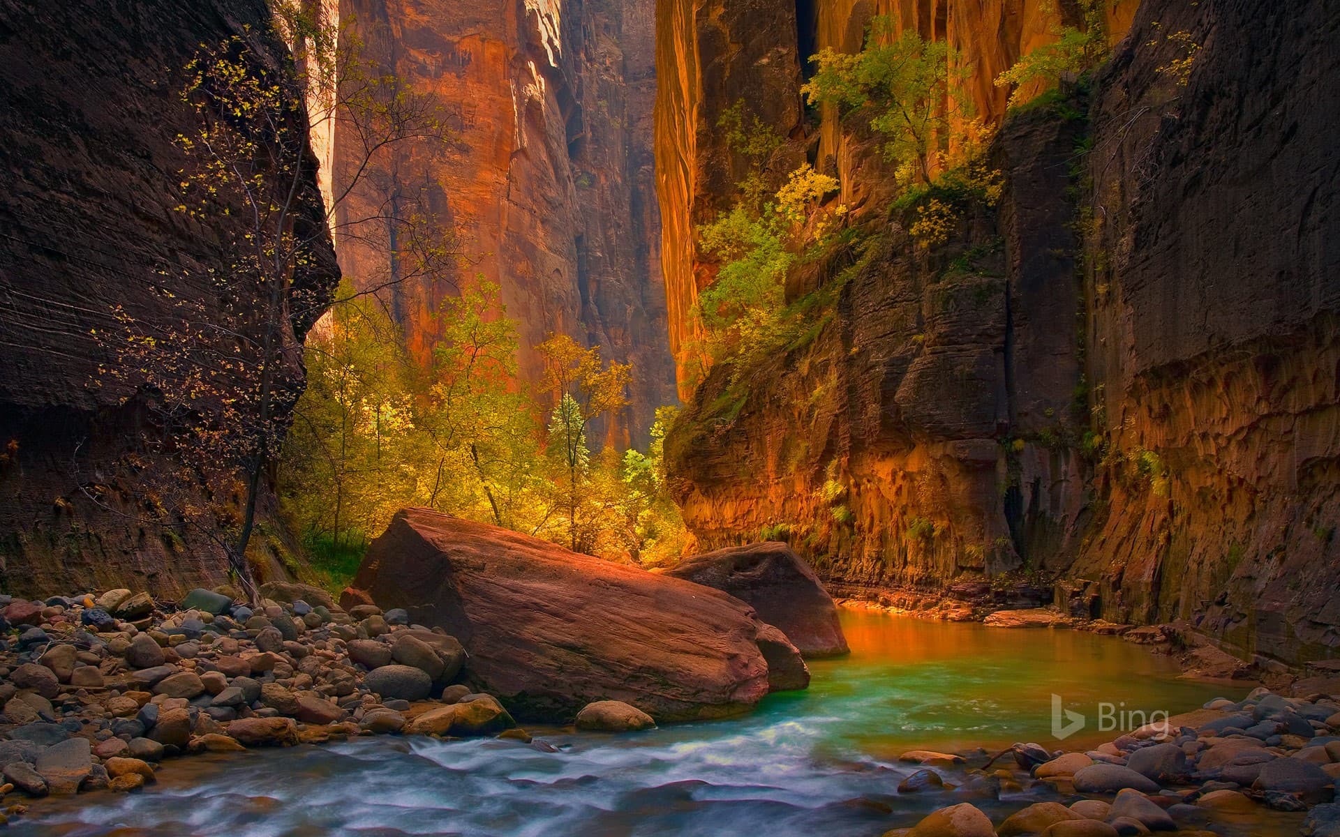 Bing Wallpaper: The Virgin River in Zion National Park, Utah