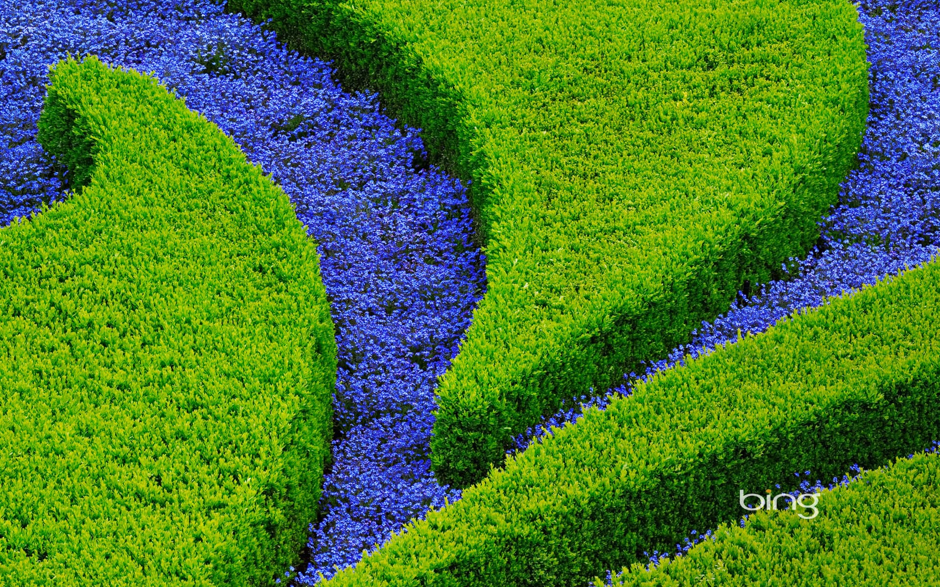 Bing Wallpaper: Vrtba Garden in Prague, Czech Republic