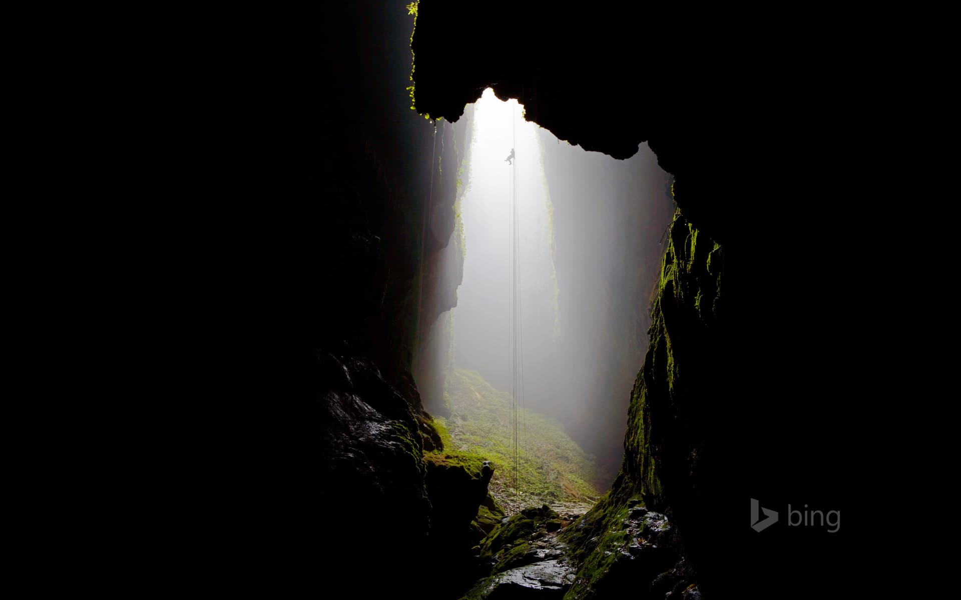 Bing Wallpaper: Waitomo Caves, New Zealand